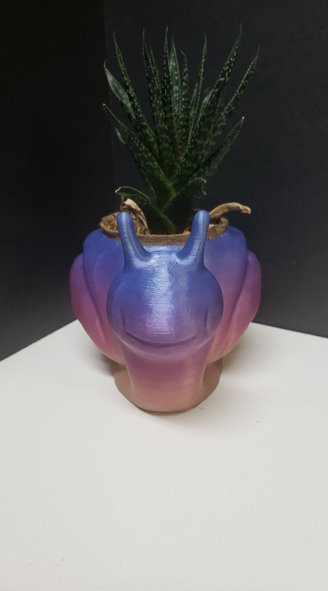 Snail Flower Planter For Home or Office 3D print model_1
