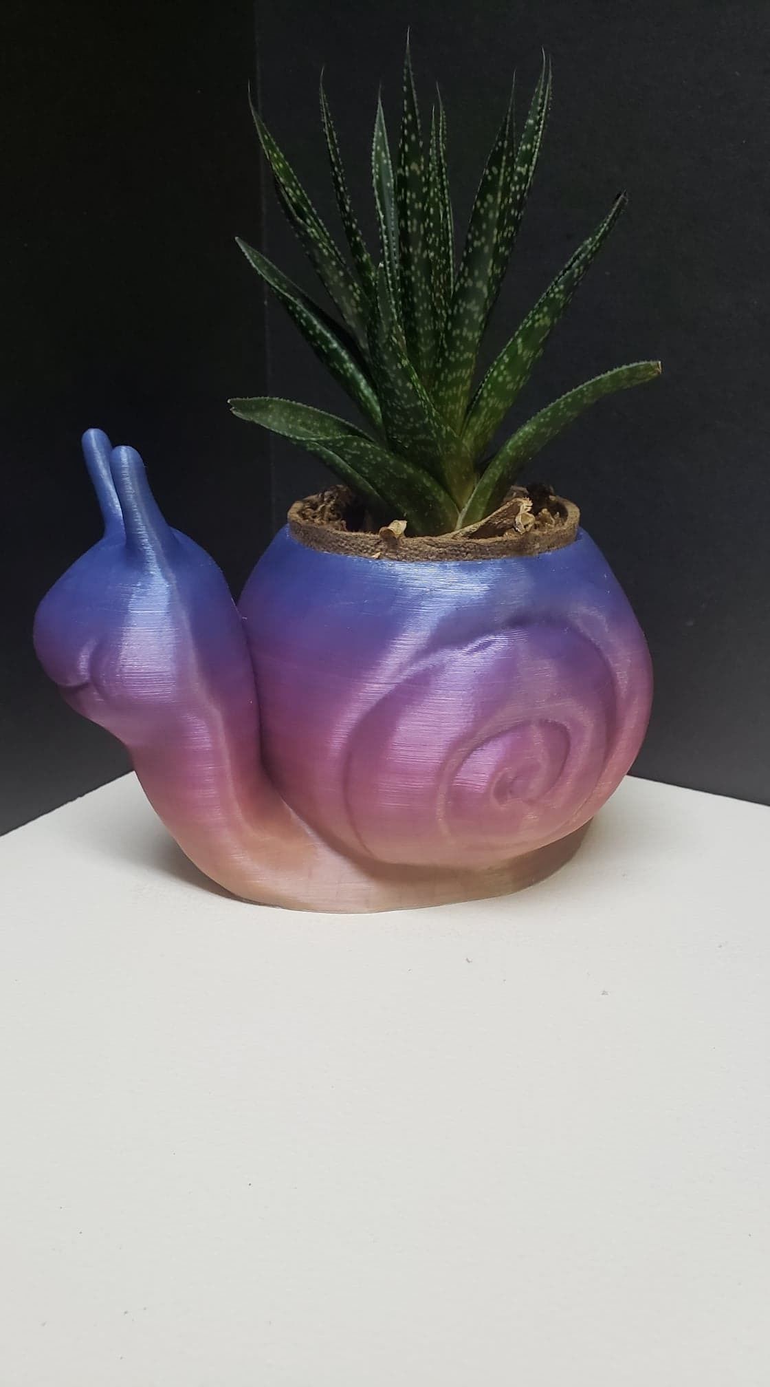 Snail Flower Planter For Home or Office 3D print model_8