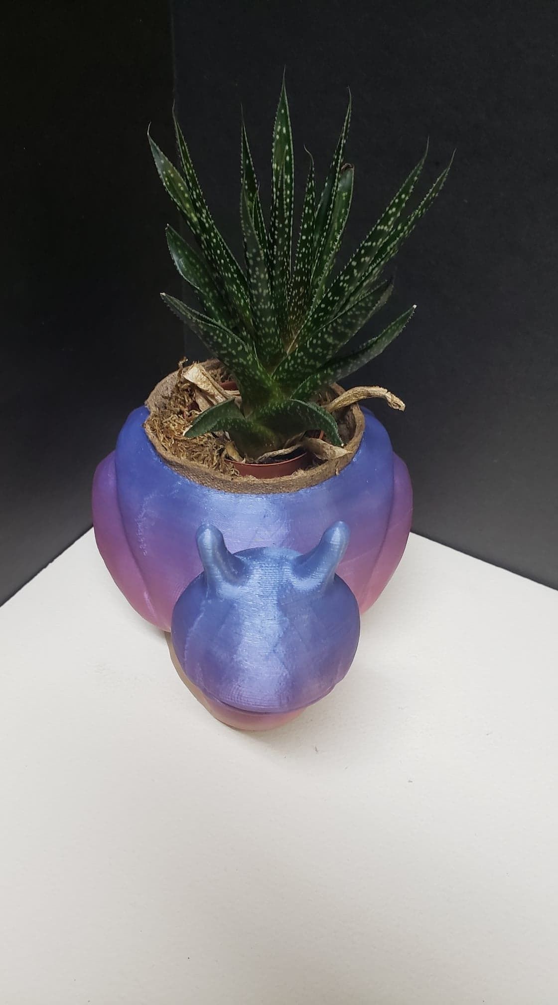 Snail Flower Planter For Home or Office 3D print model_9