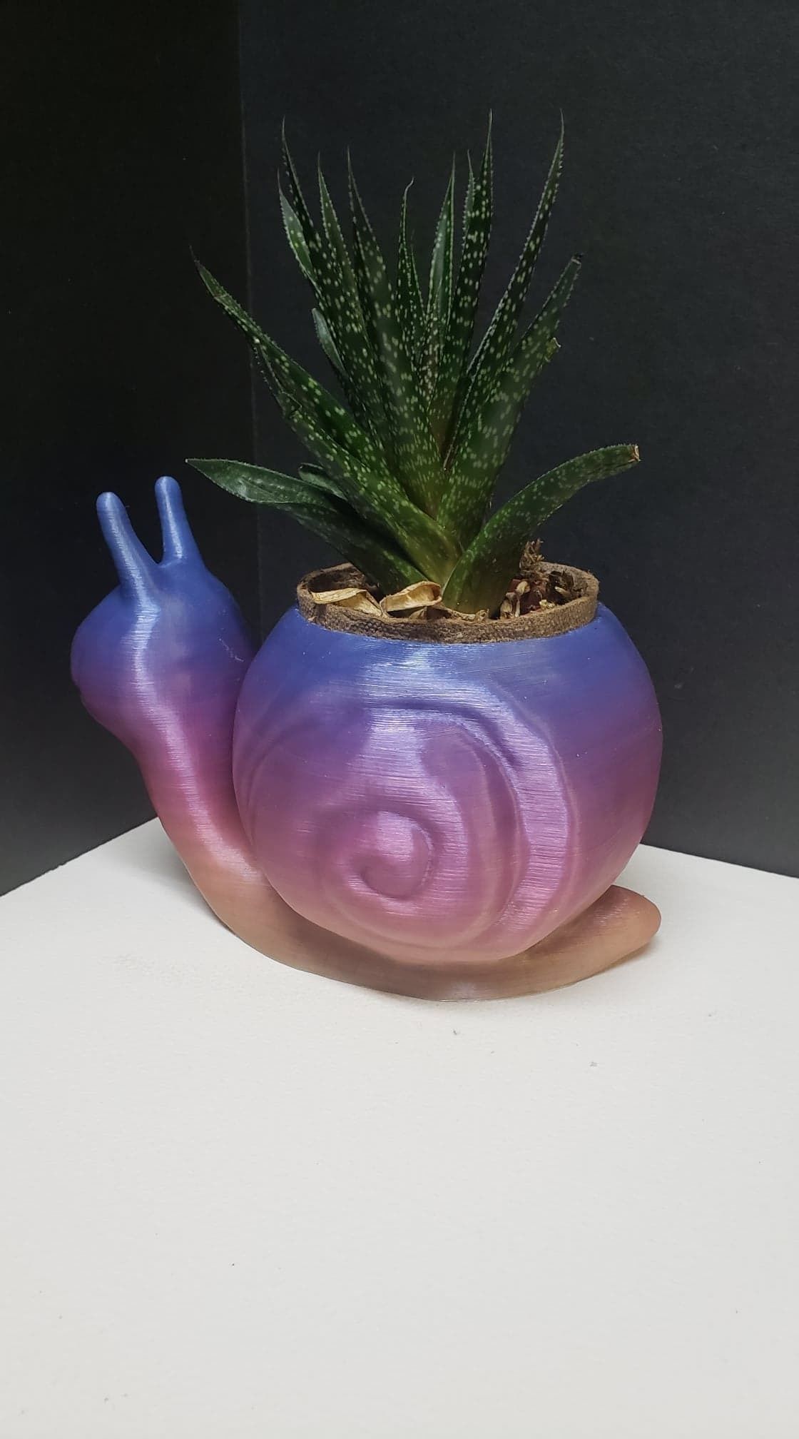 Snail Flower Planter For Home or Office 3D print model_7