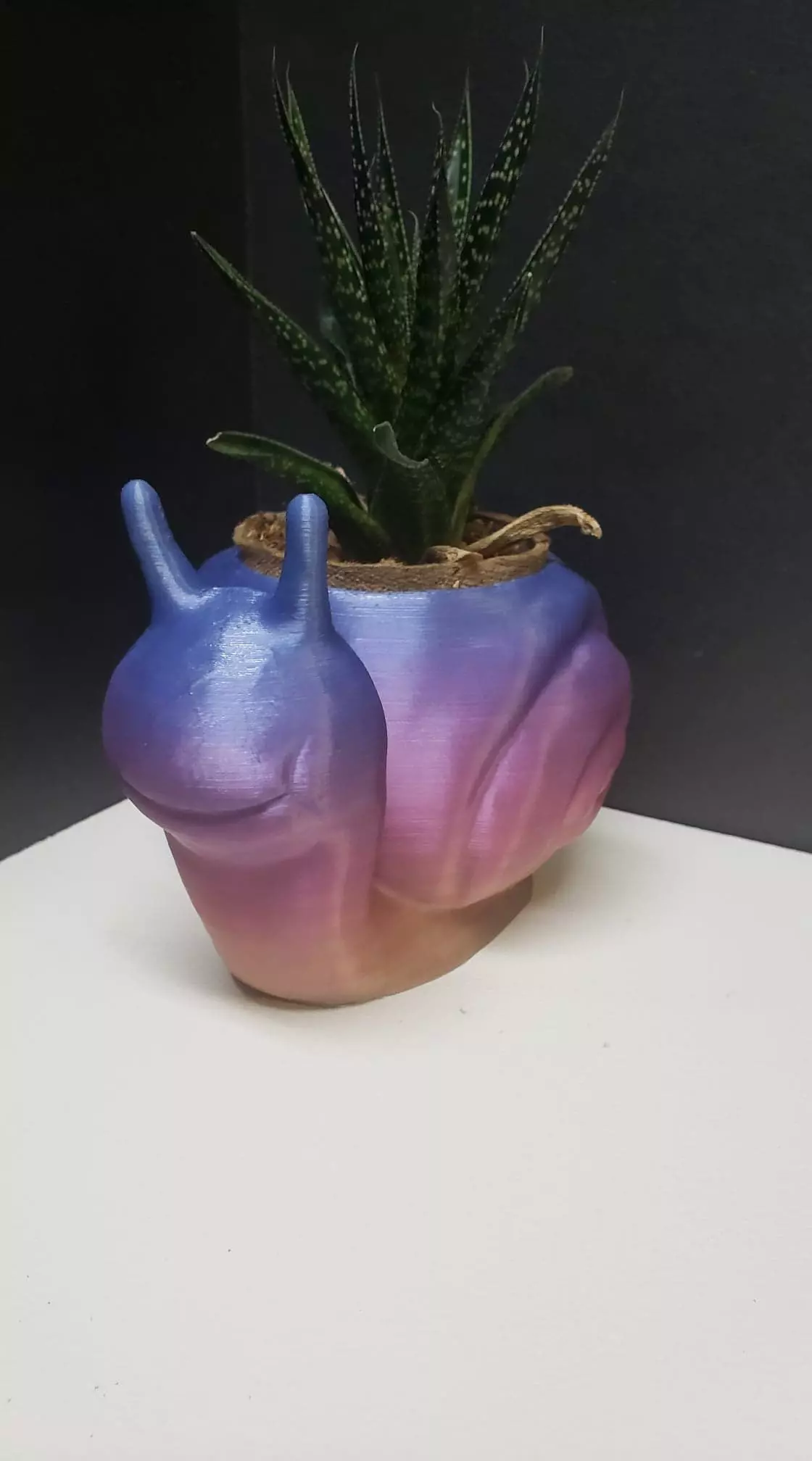 Snail Flower Planter For Home or Office 3D print model_0