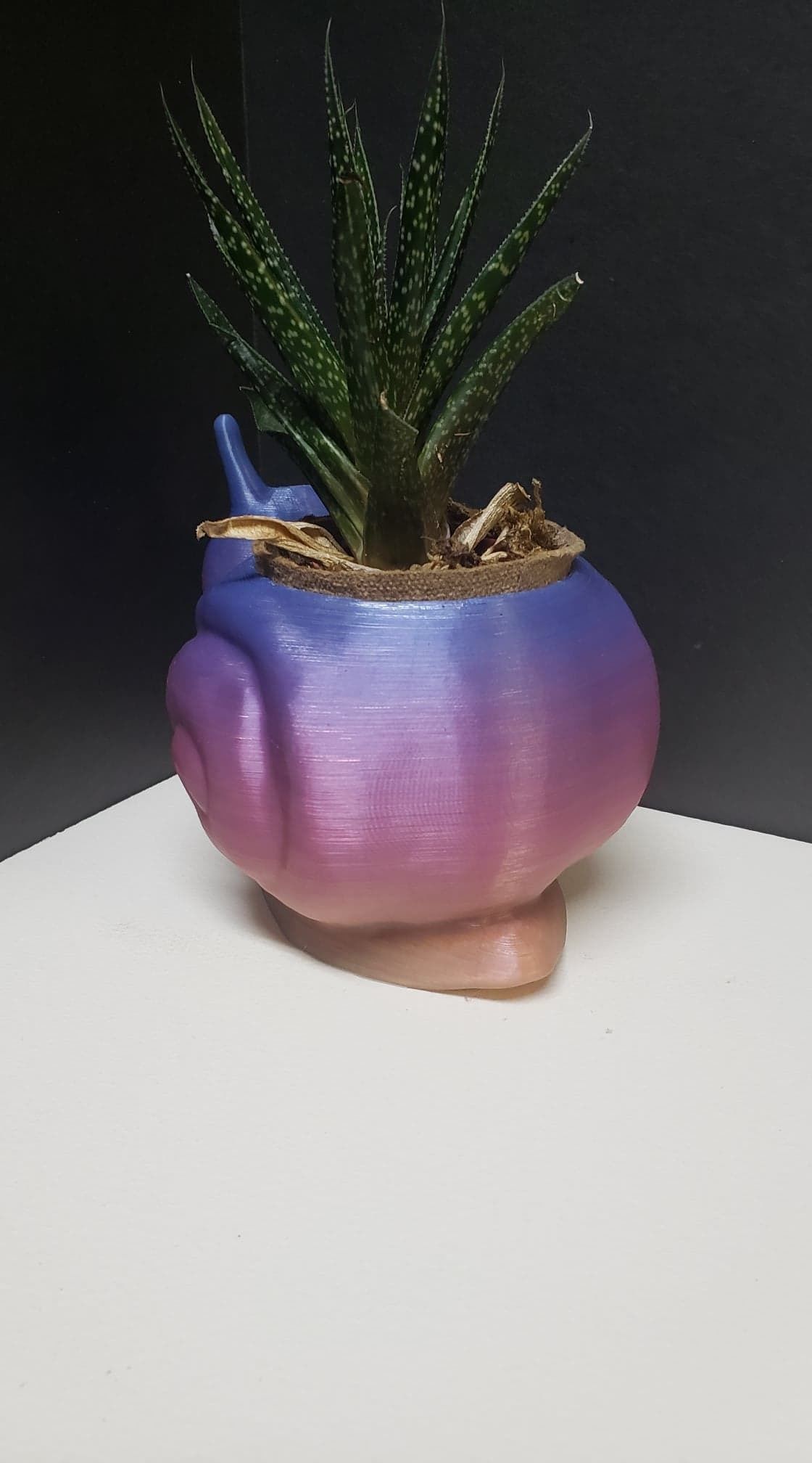 Snail Flower Planter For Home or Office 3D print model_6