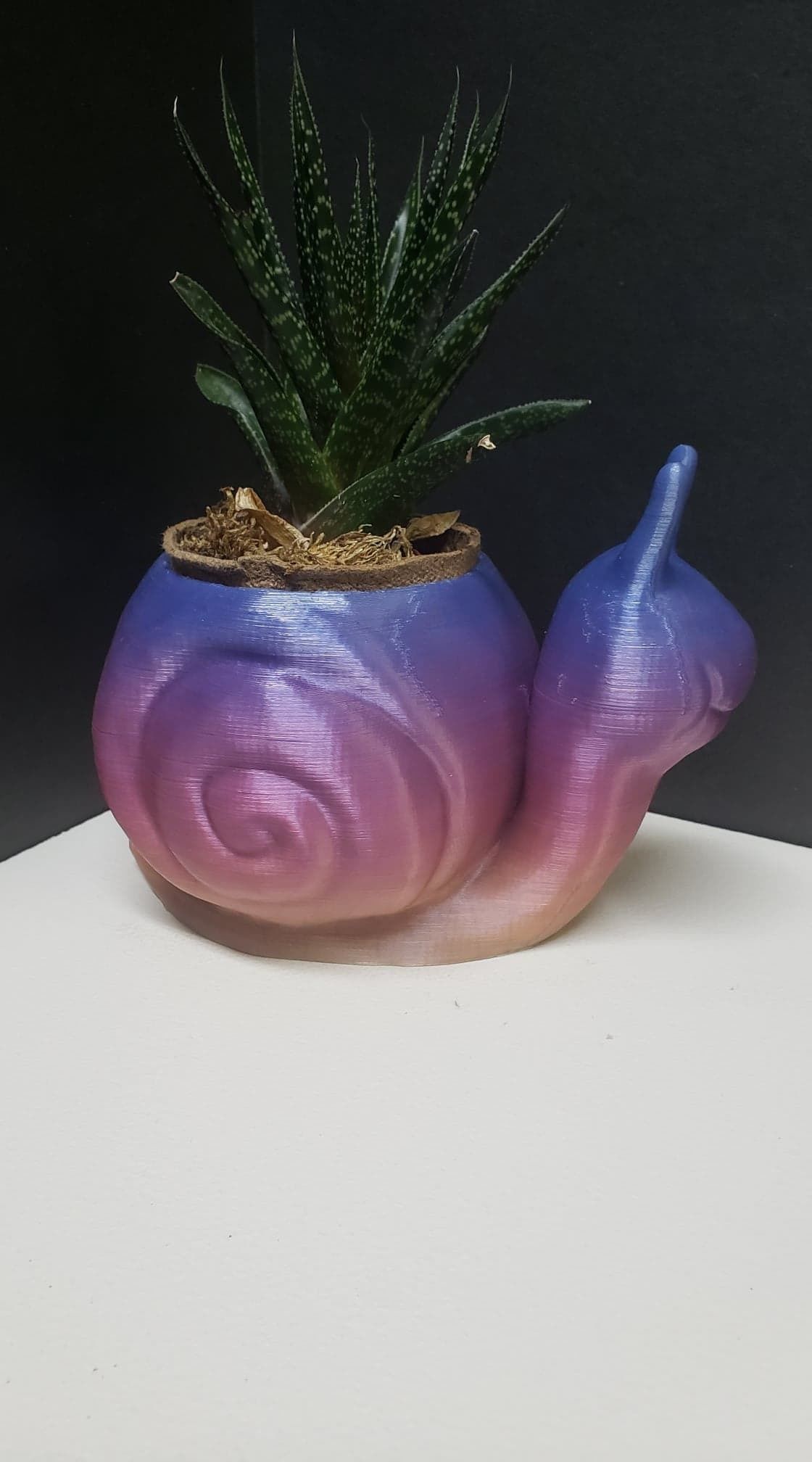 Snail Flower Planter For Home or Office 3D print model_3