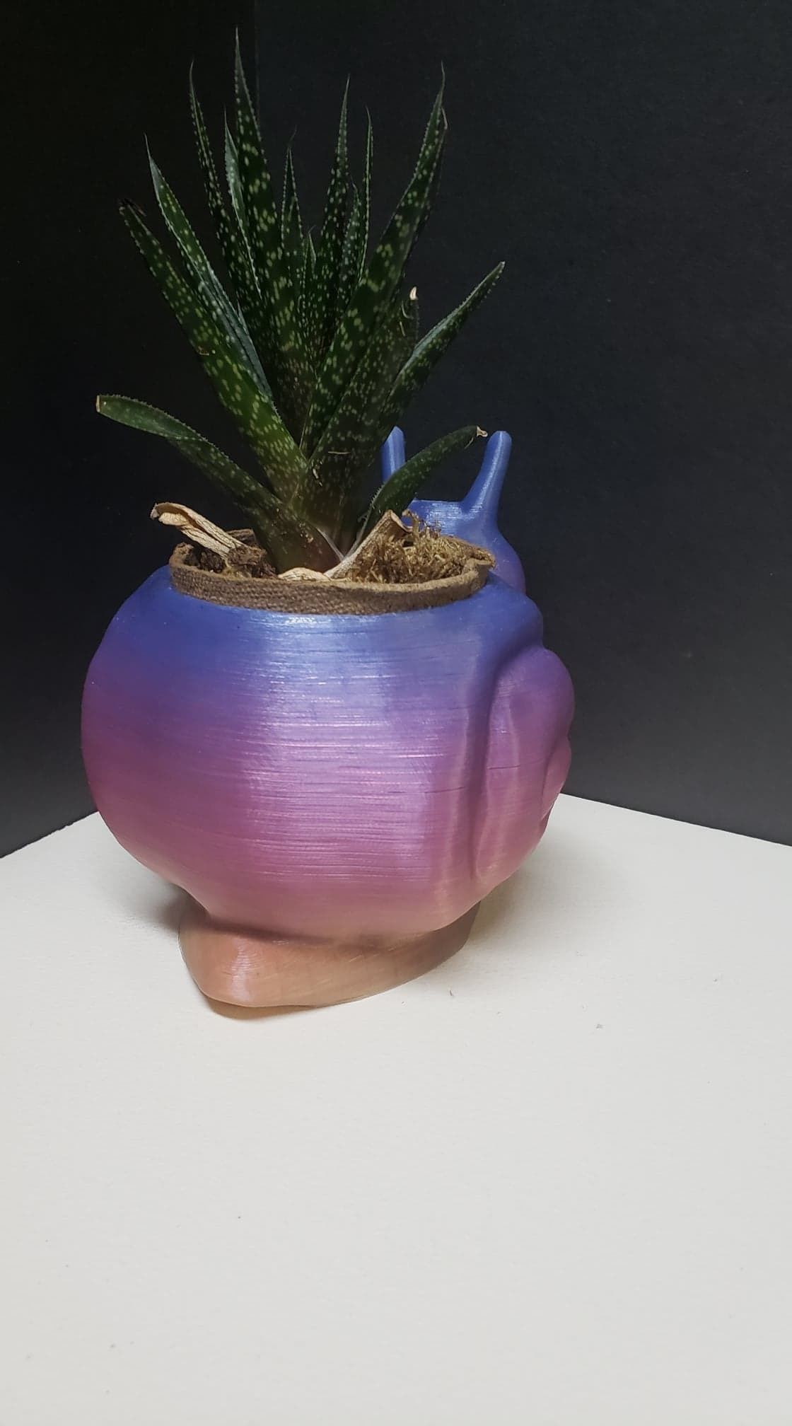 Snail Flower Planter For Home or Office 3D print model_5