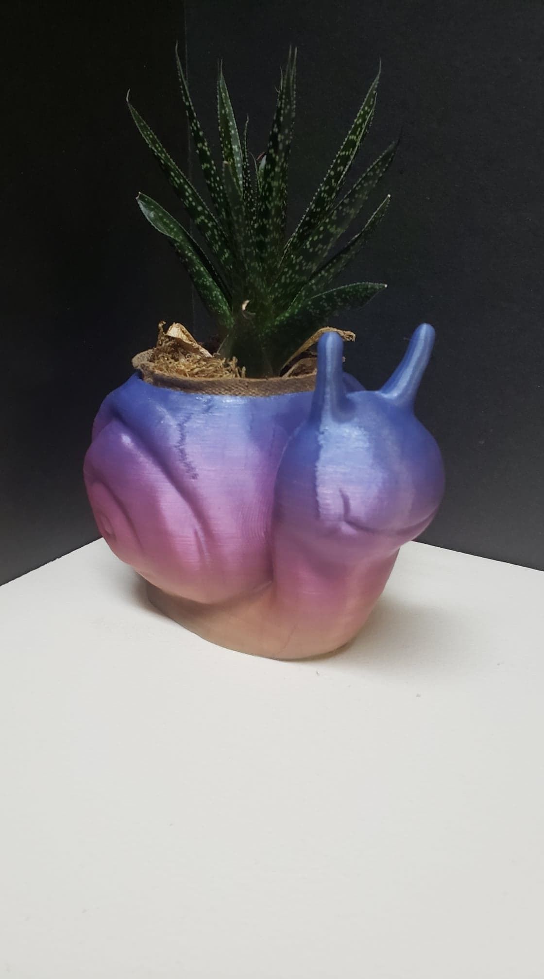 Snail Flower Planter For Home or Office 3D print model_2