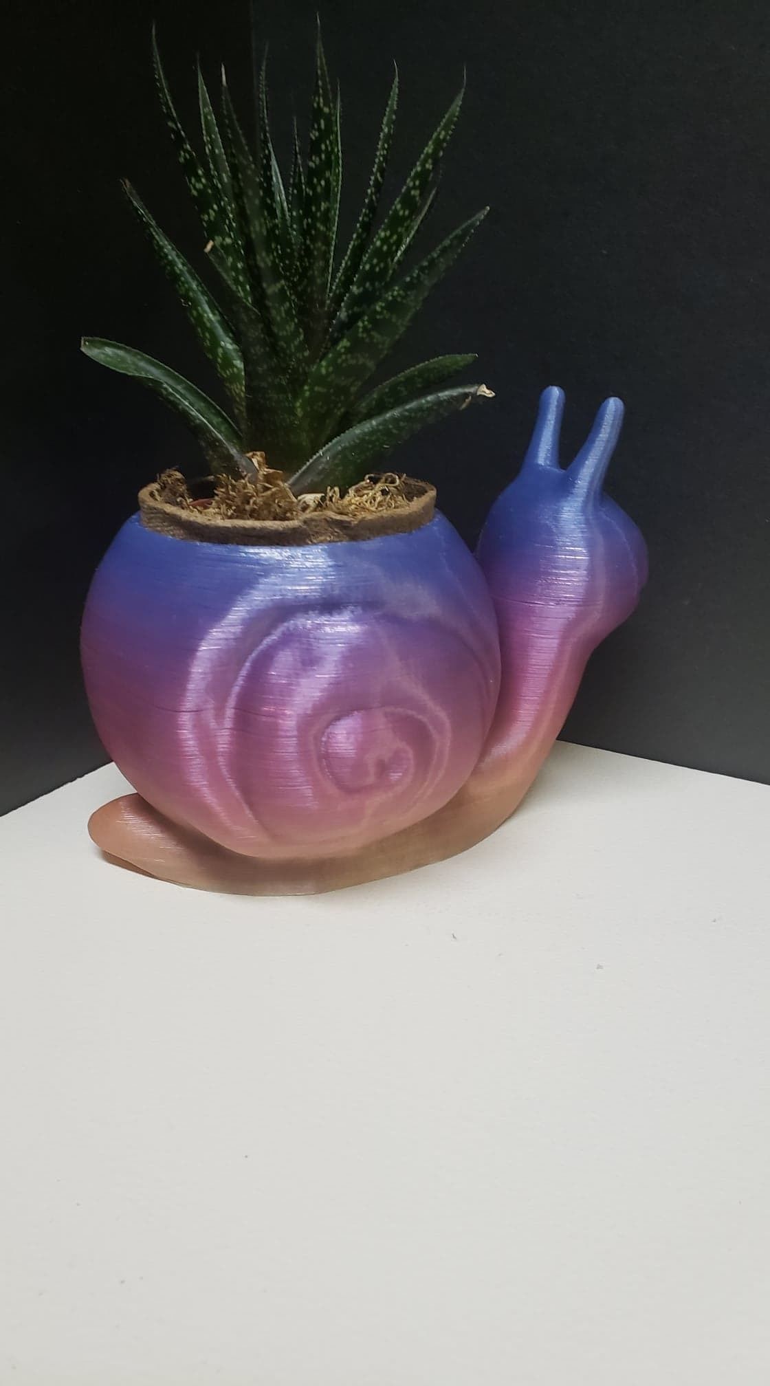 Snail Flower Planter For Home or Office 3D print model_4