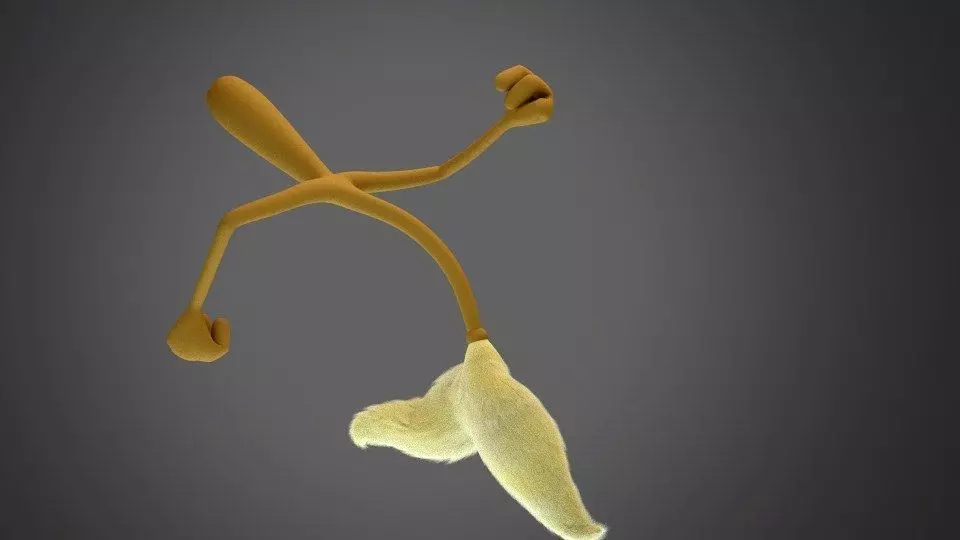 Walking Broom Free 3D model_0