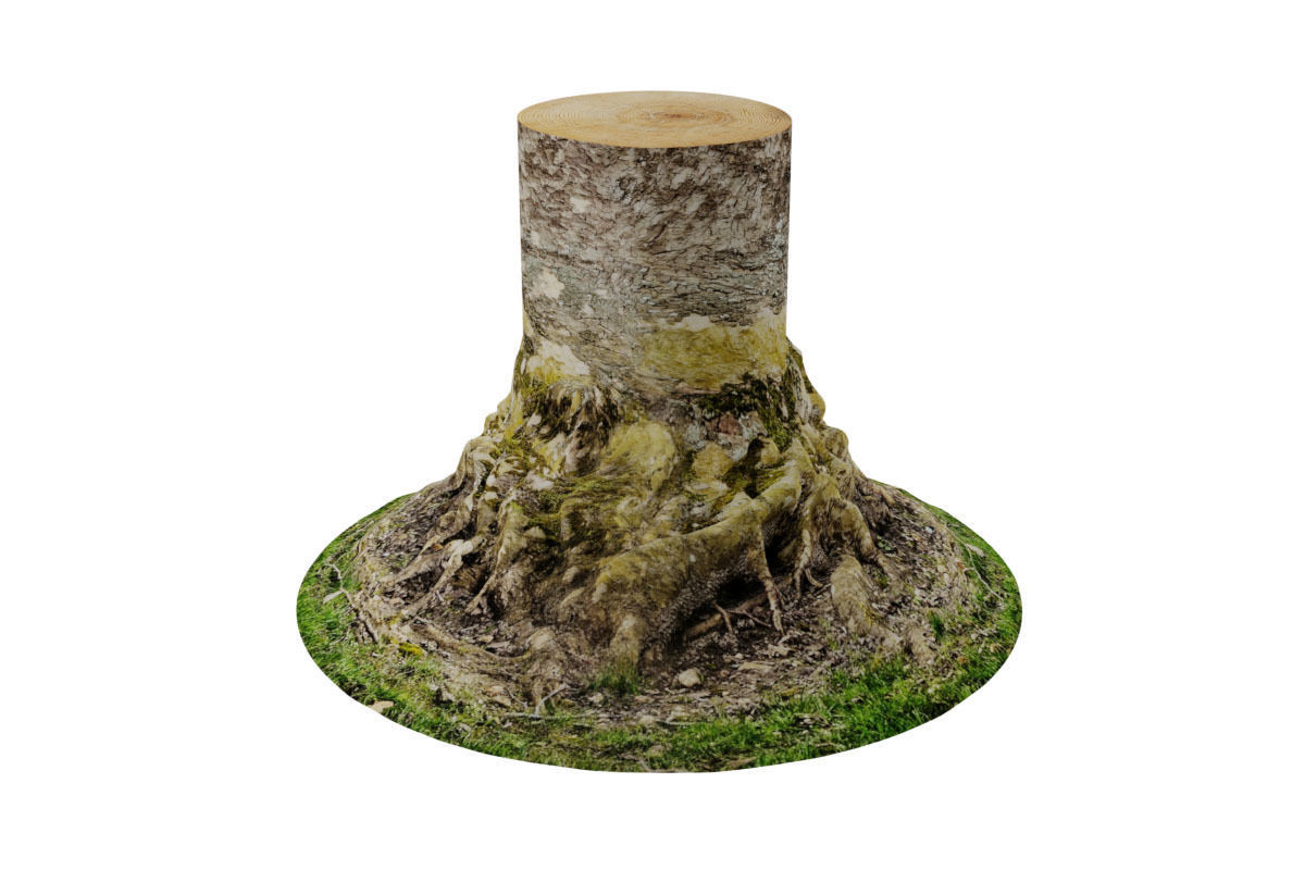 Tree Trunk 3D model_2