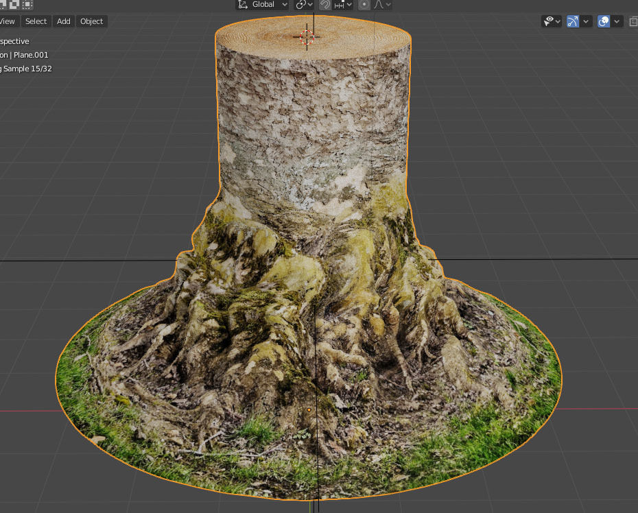 Tree Trunk 3D model_5