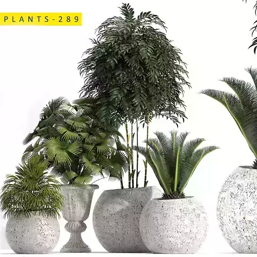 Plants 289