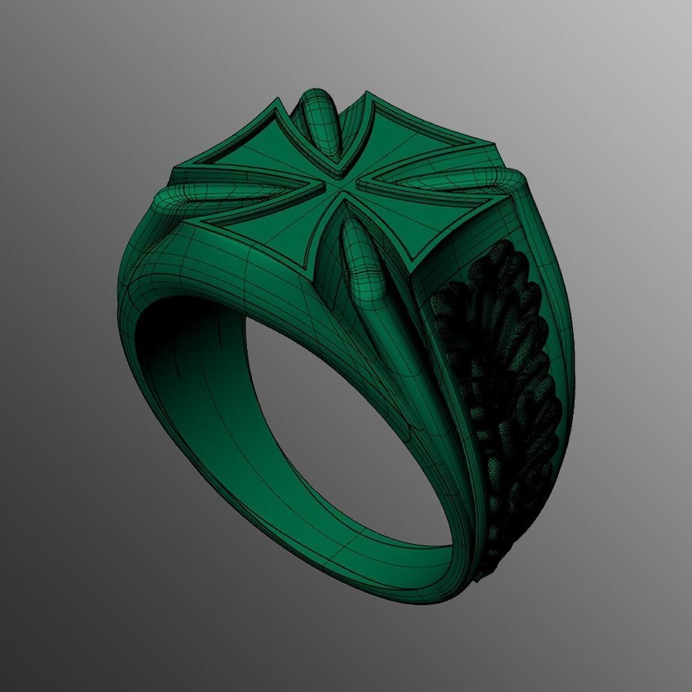 Ring sshp15 3D print model_2