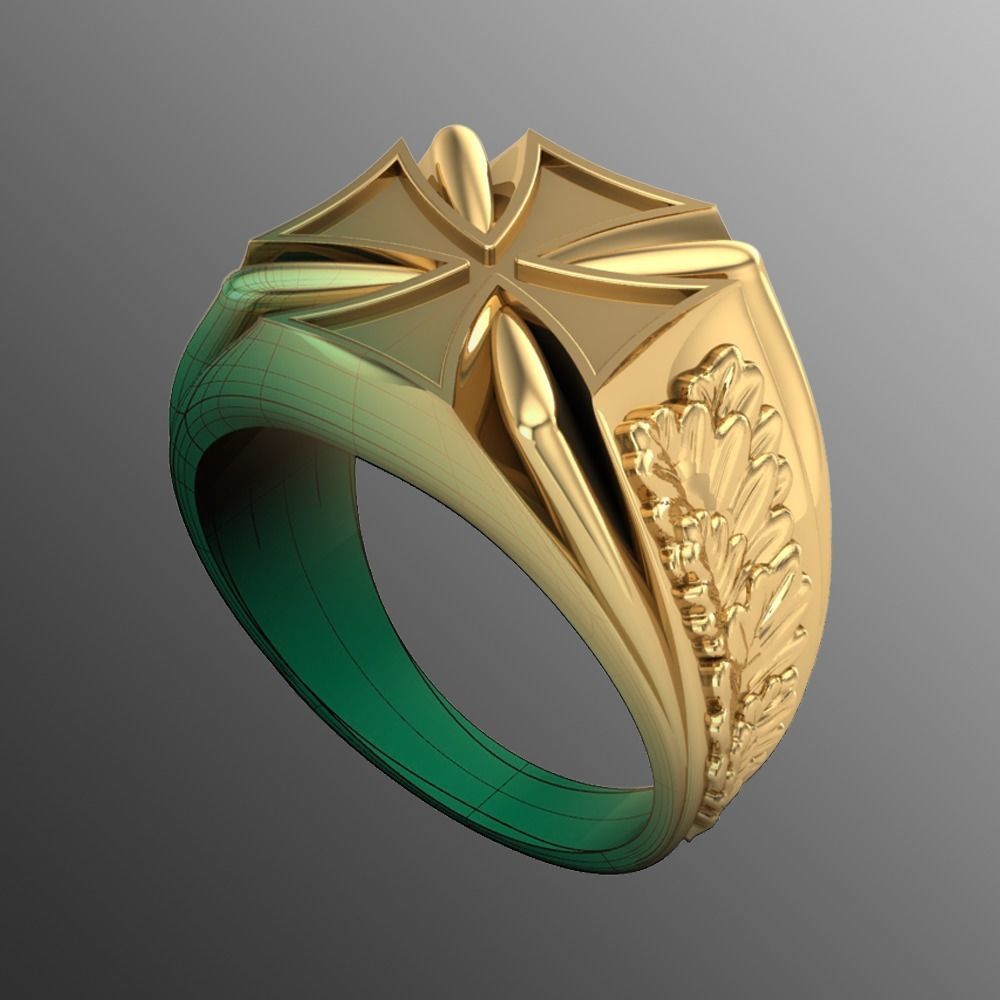 Ring sshp15 3D print model_1