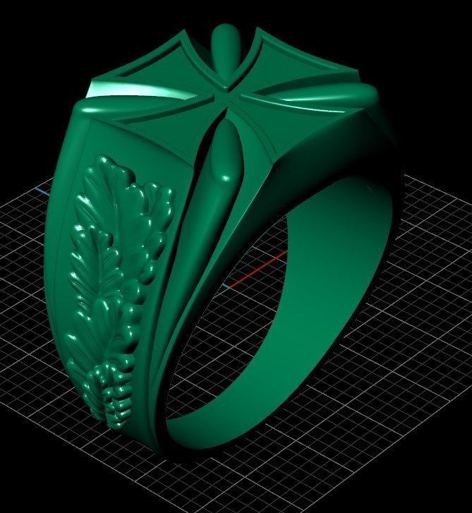 Ring sshp15 3D print model_6