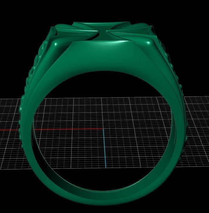 Ring sshp15 3D print model_8