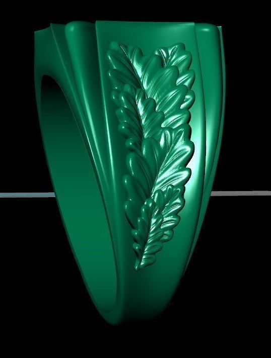 Ring sshp15 3D print model_9