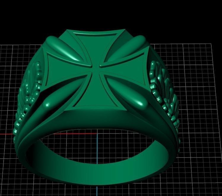 Ring sshp15 3D print model_10