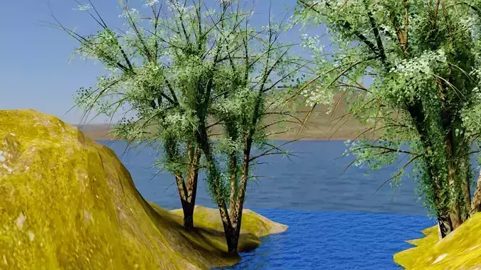 Trees with pond
