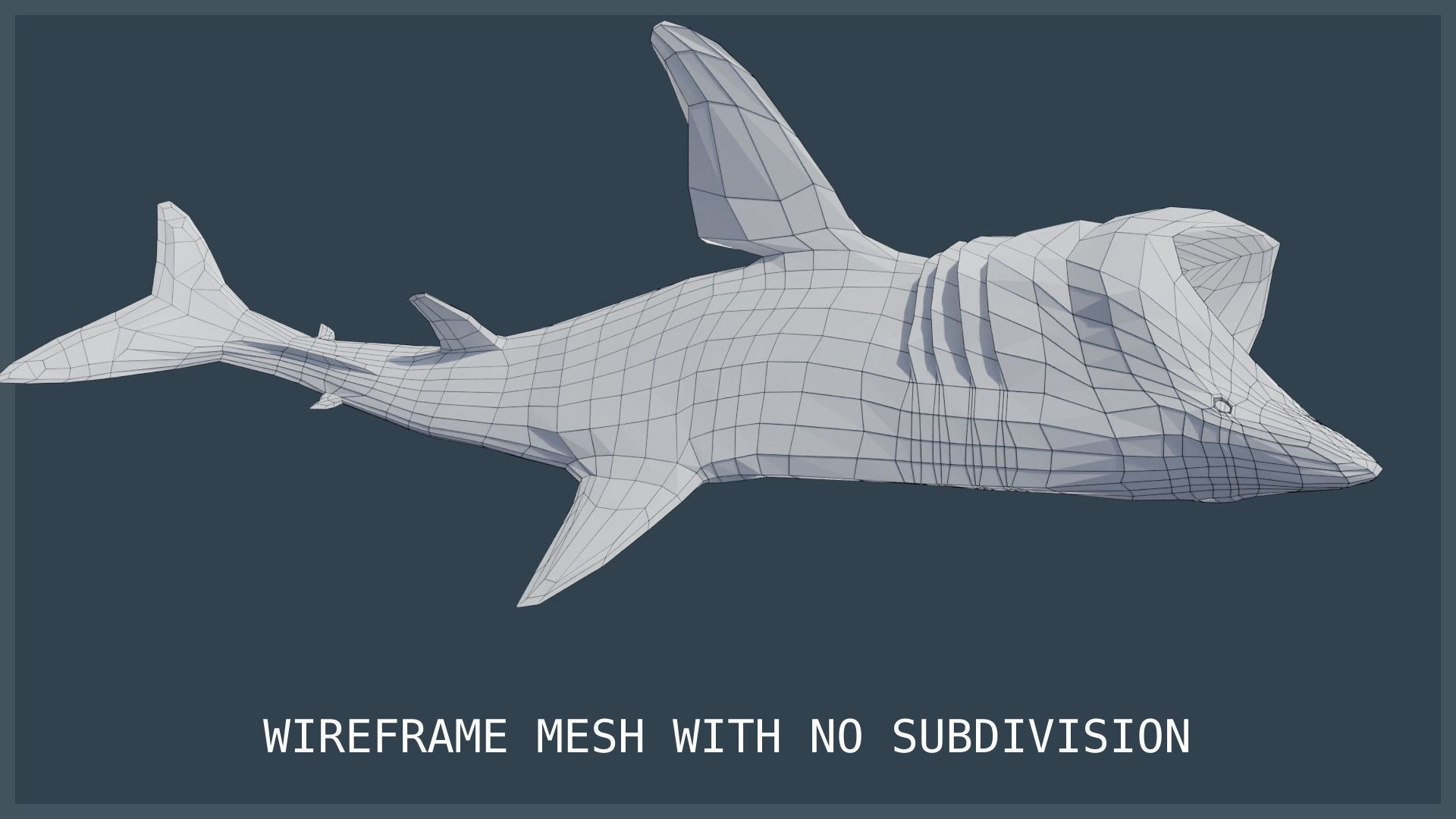 Basking Shark Low-poly 3D model_23