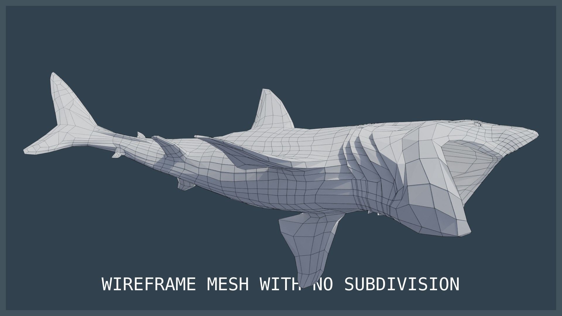 Basking Shark Low-poly 3D model_27
