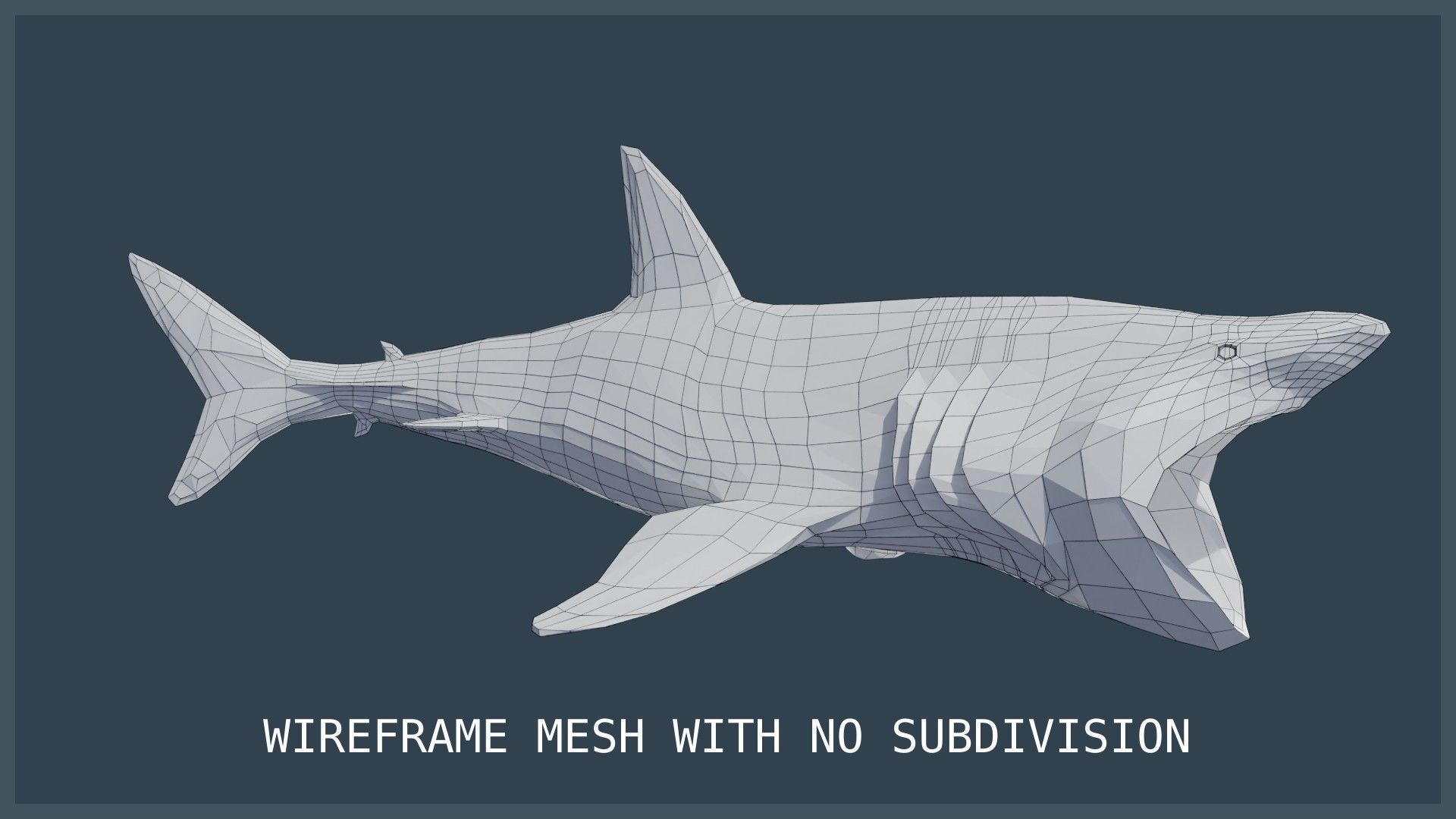 Basking Shark Low-poly 3D model_20