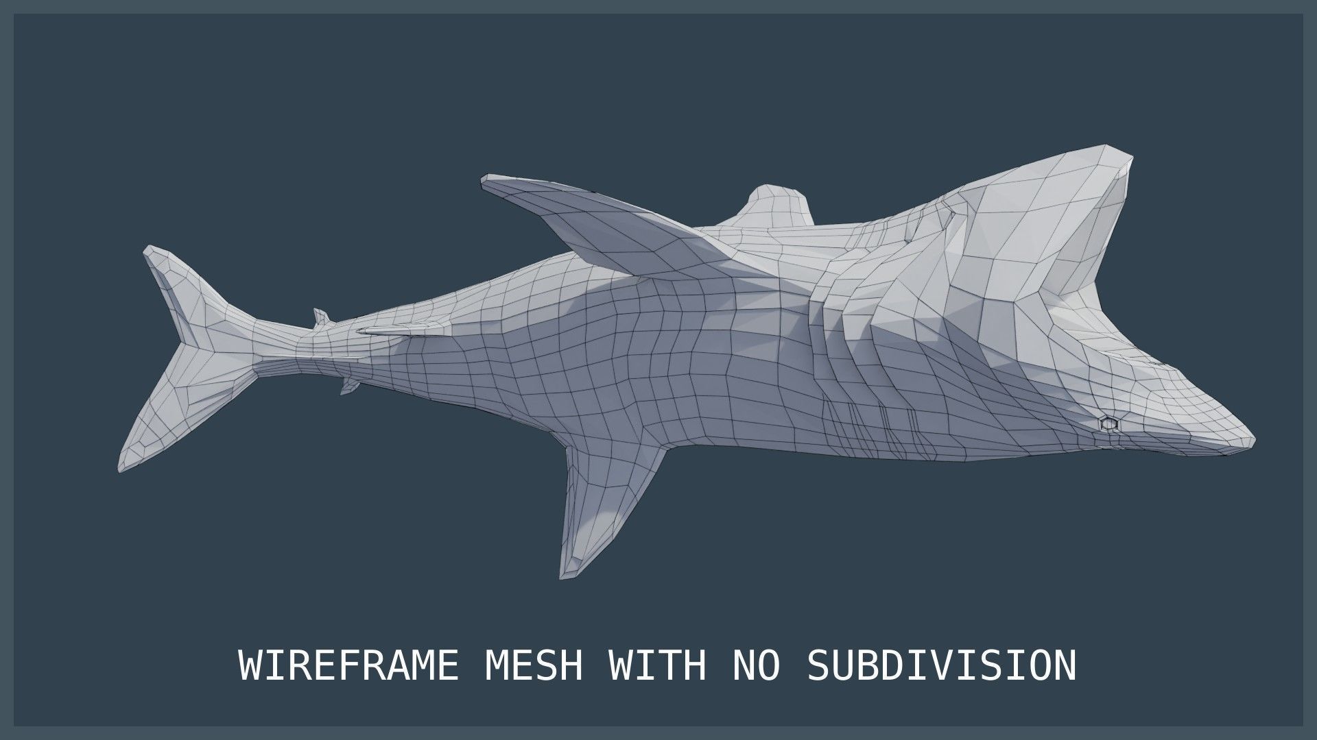 Basking Shark Low-poly 3D model_24