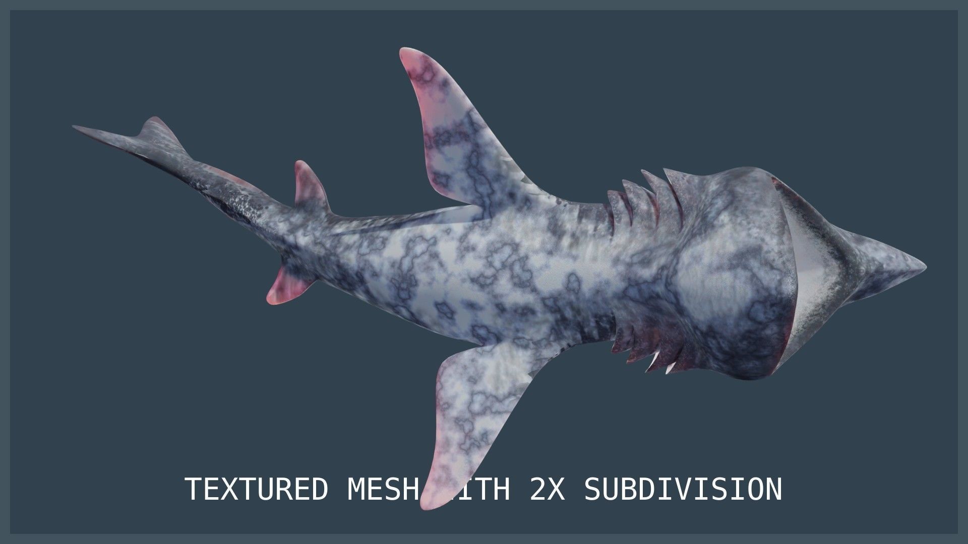 Basking Shark Low-poly 3D model_18
