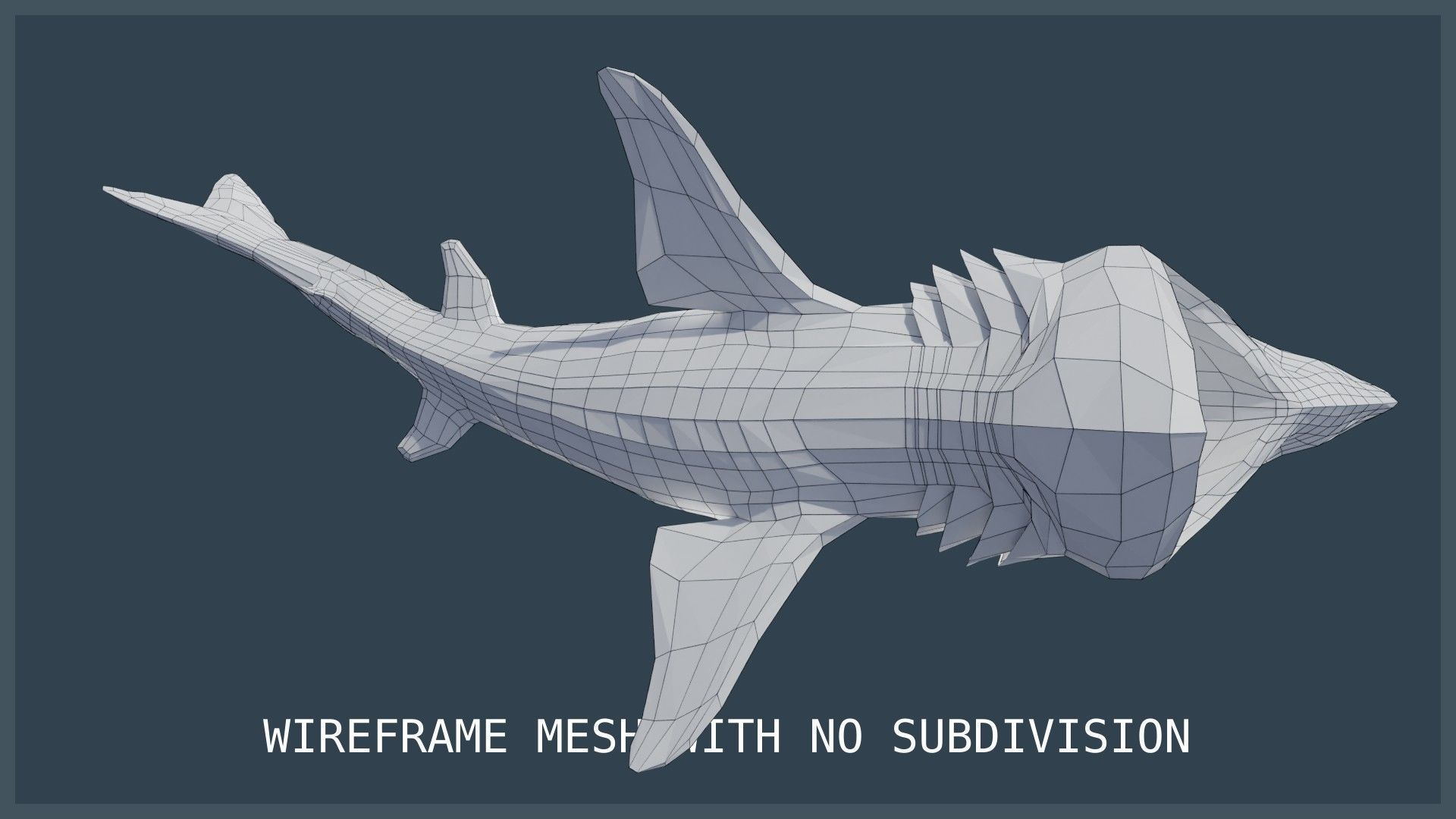 Basking Shark Low-poly 3D model_26