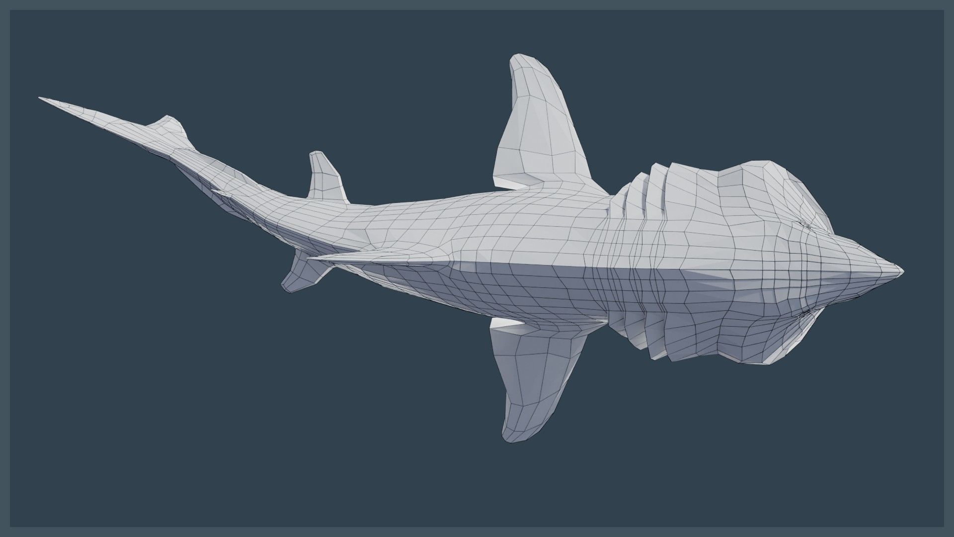 Basking Shark Low-poly 3D model_5