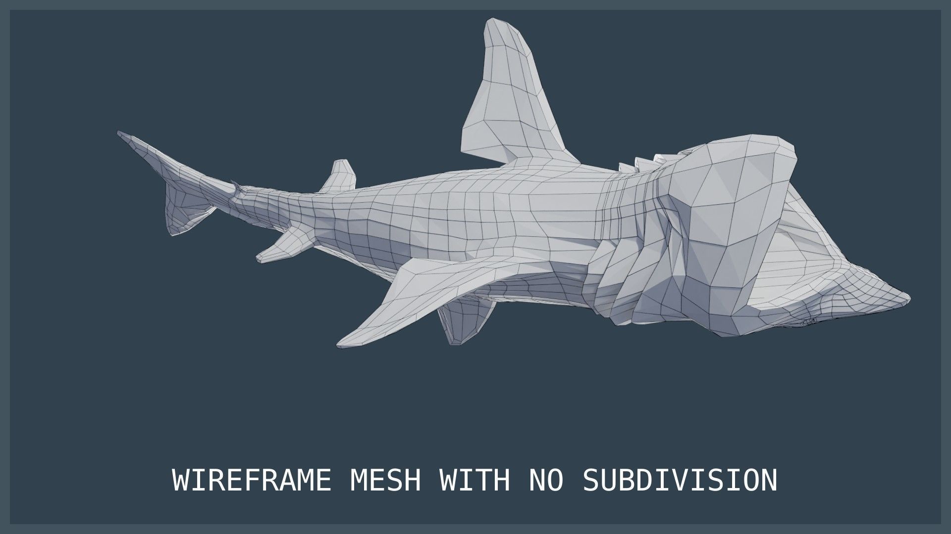 Basking Shark Low-poly 3D model_25