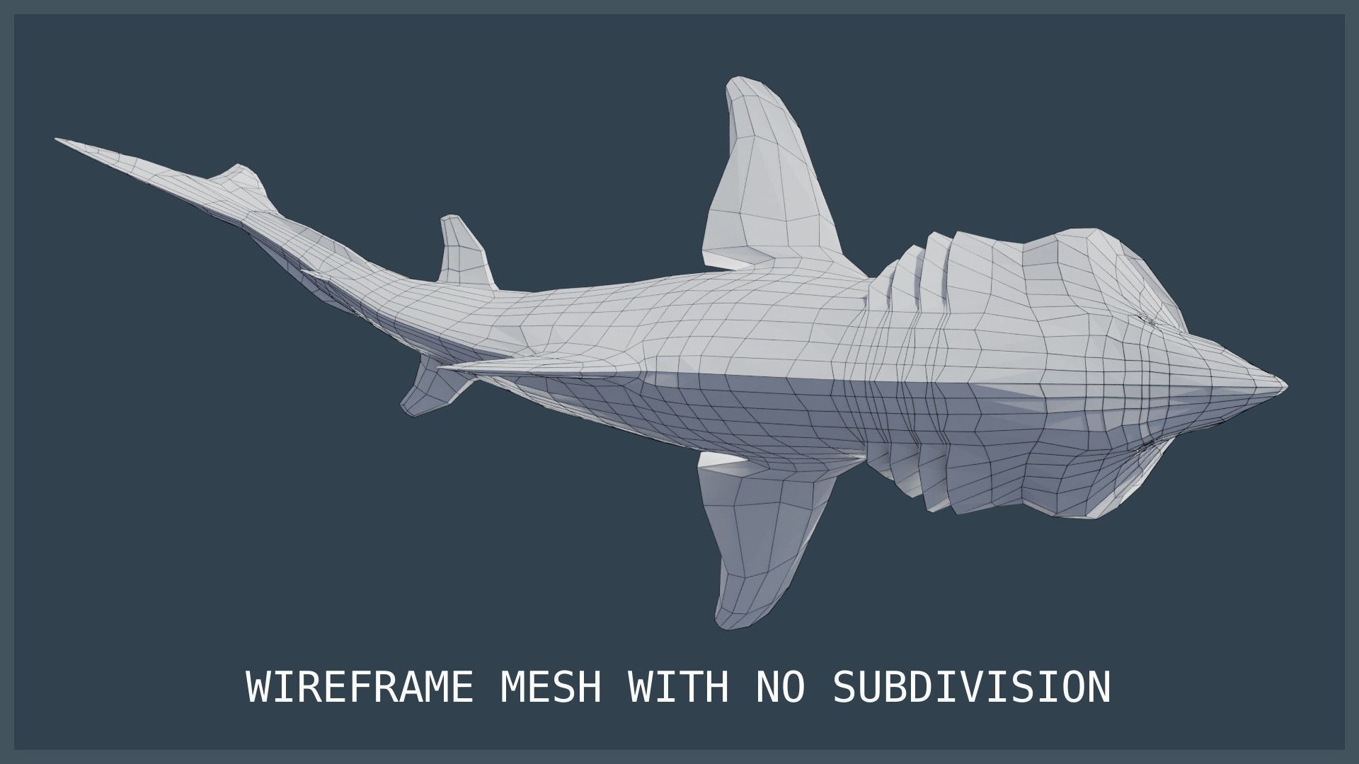 Basking Shark Low-poly 3D model_22
