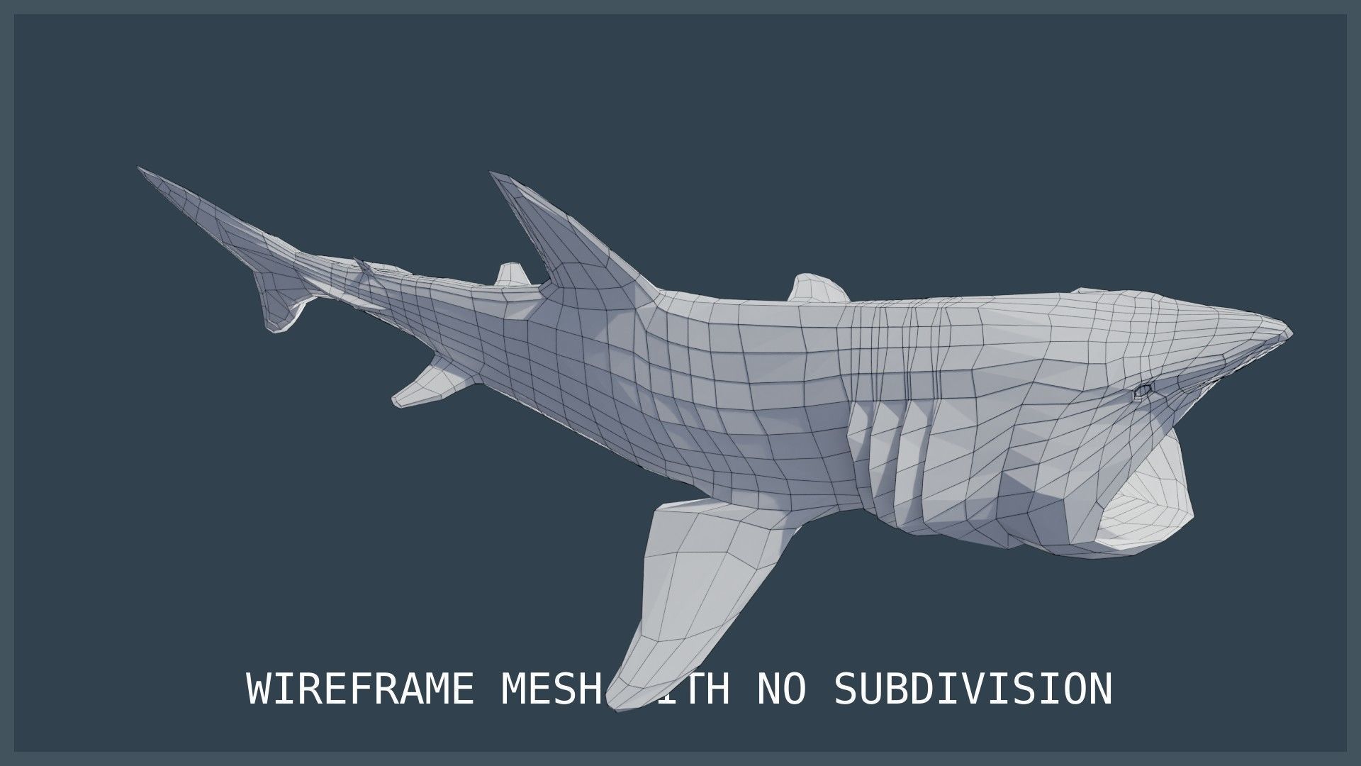Basking Shark Low-poly 3D model_21