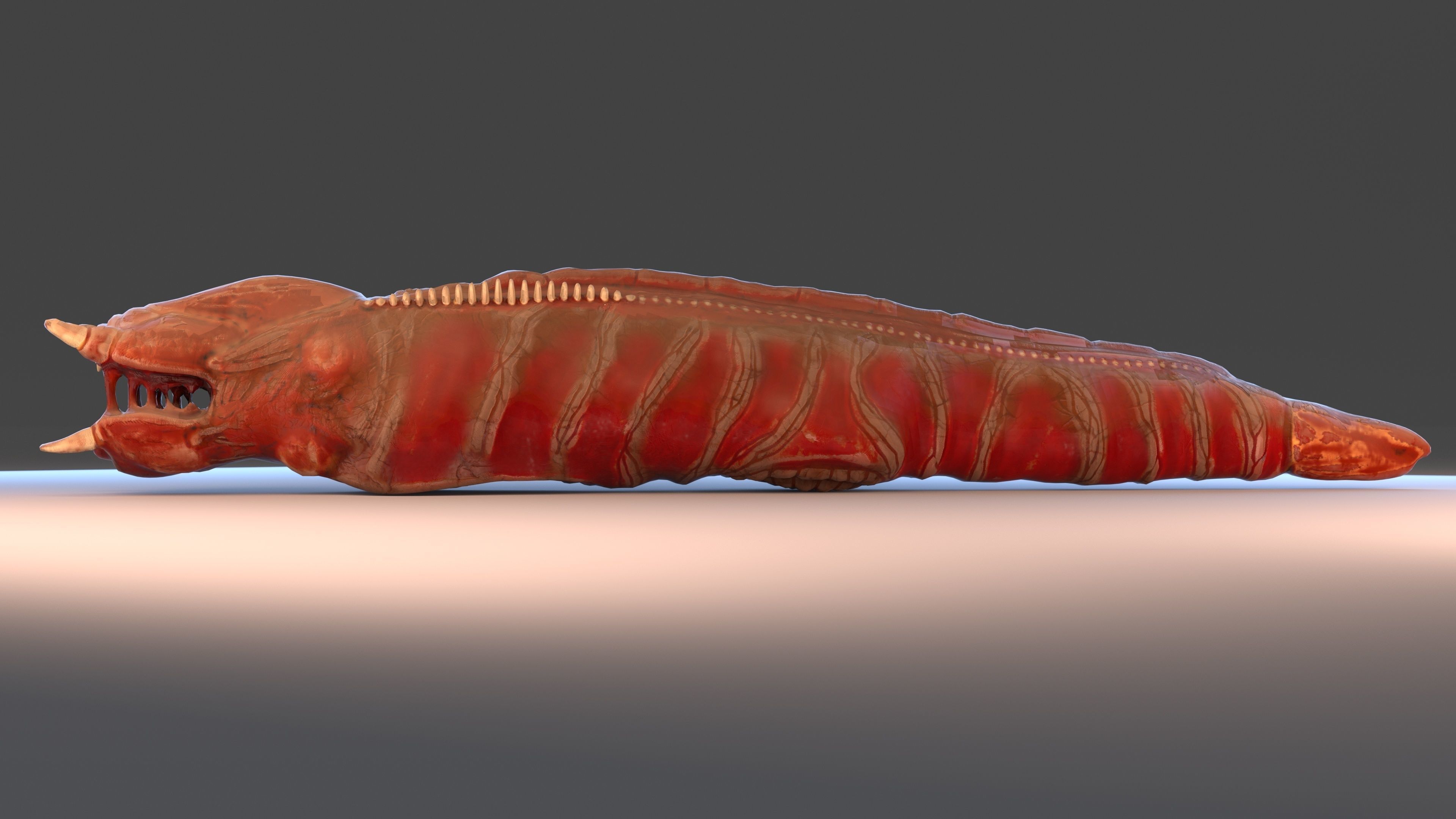 Worm monster 3D model_2