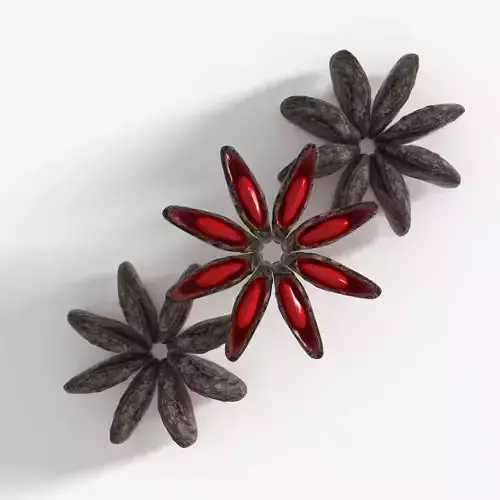 Anise star