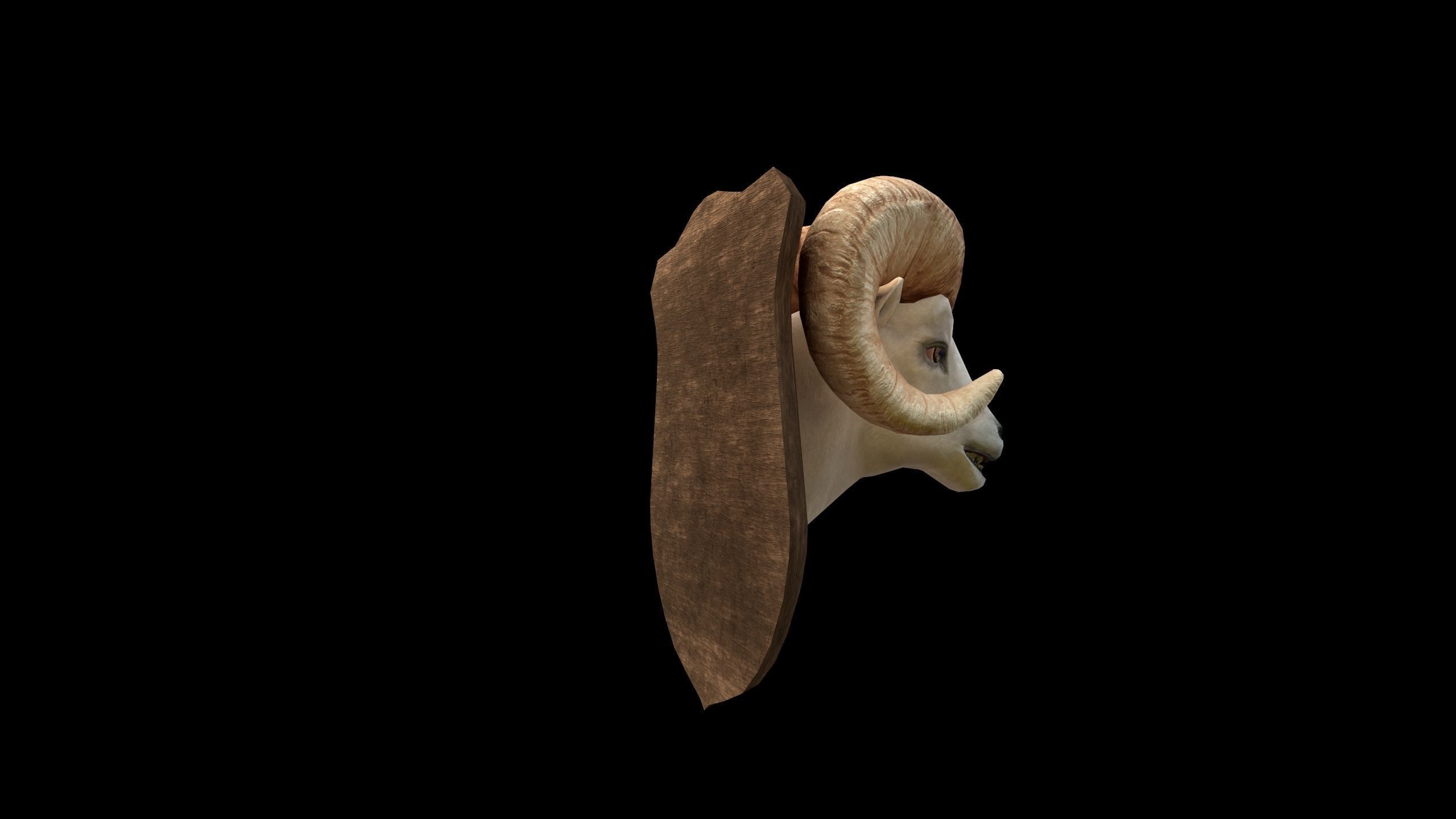 Ram Head - PBR - Textured Low-poly 3D model_4
