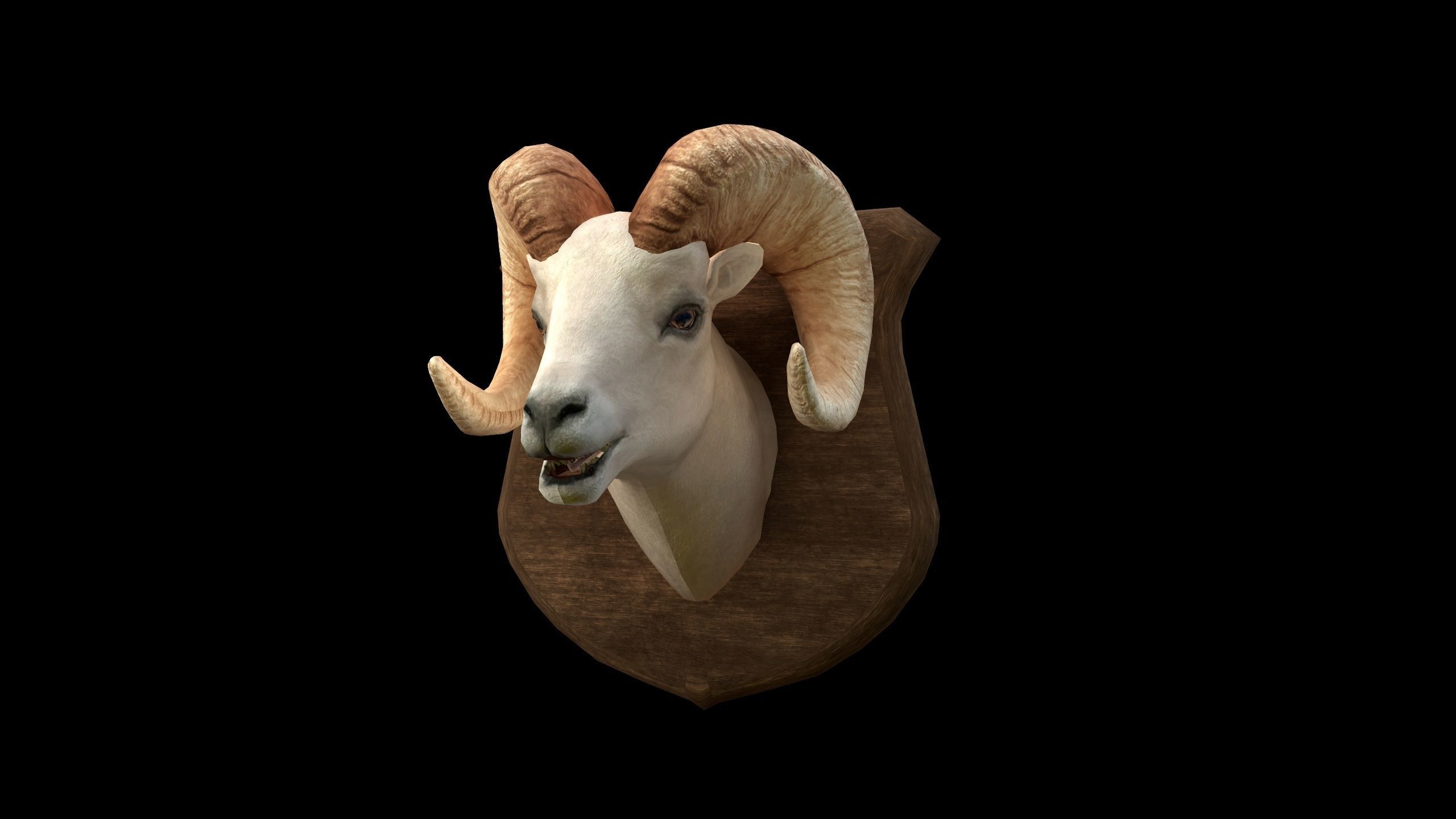 Ram Head - PBR - Textured Low-poly 3D model_8