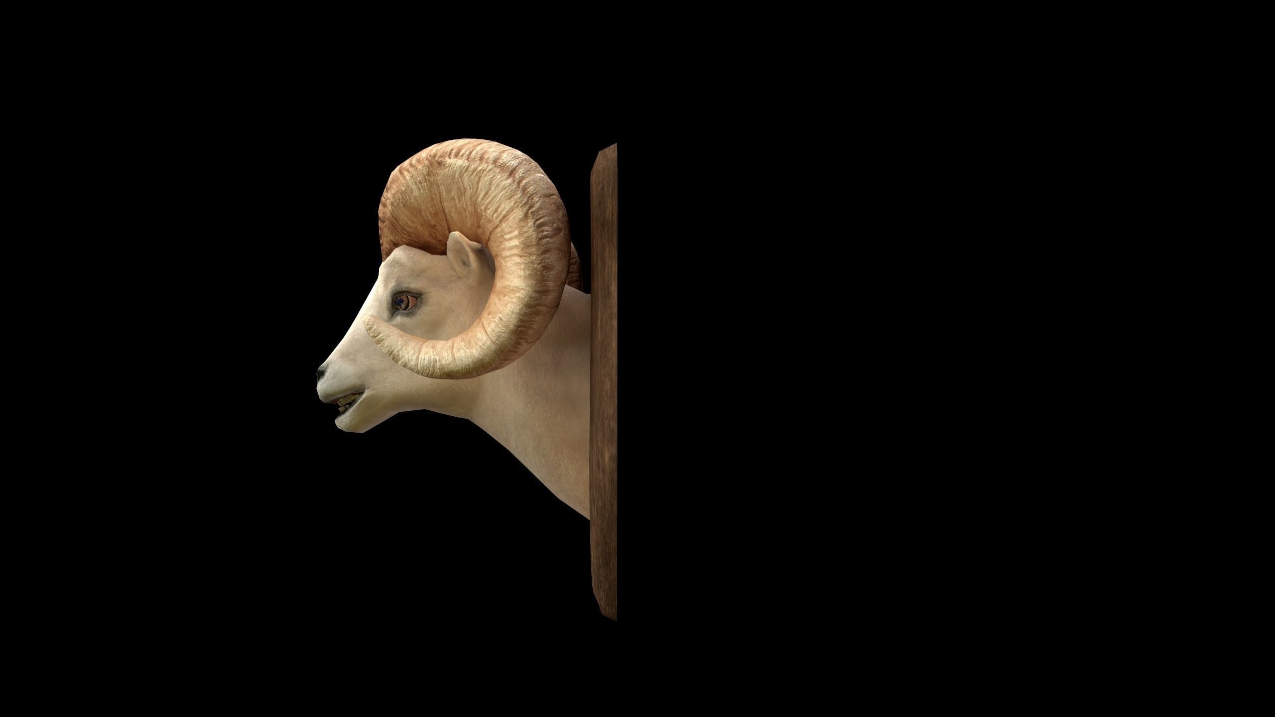 Ram Head - PBR - Textured Low-poly 3D model_6