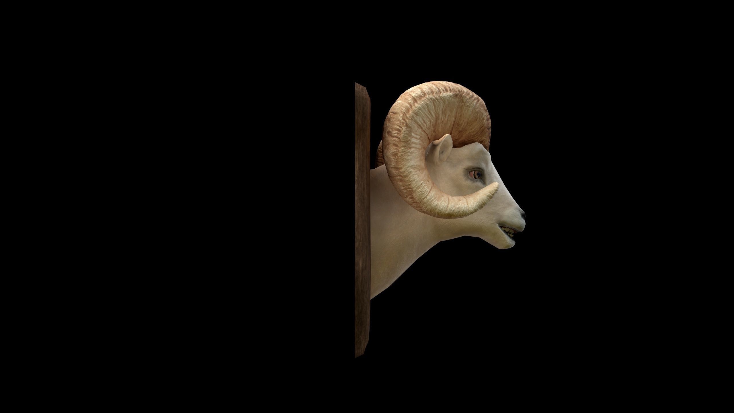 Ram Head - PBR - Textured Low-poly 3D model_3