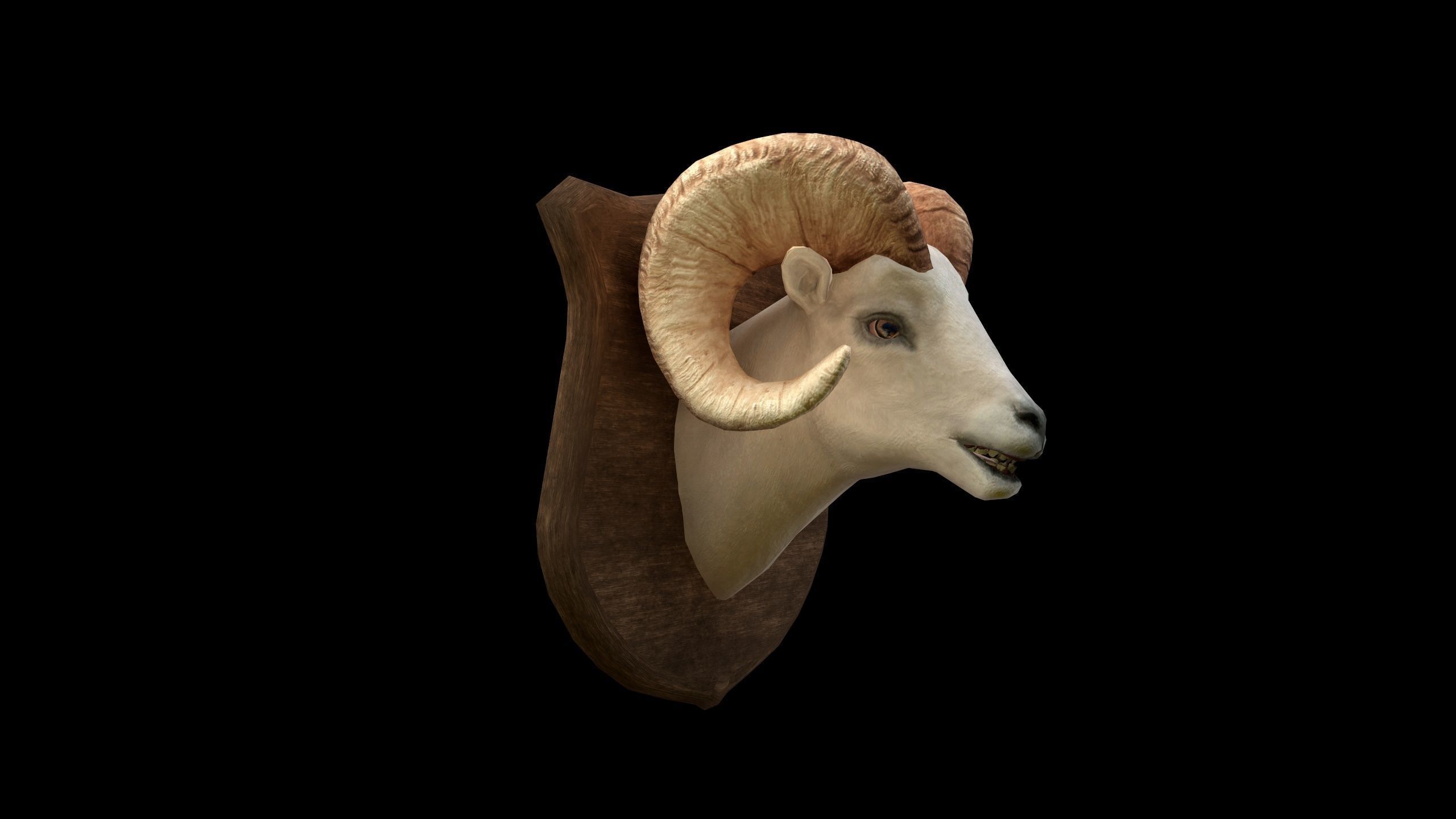 Ram Head - PBR - Textured Low-poly 3D model_2