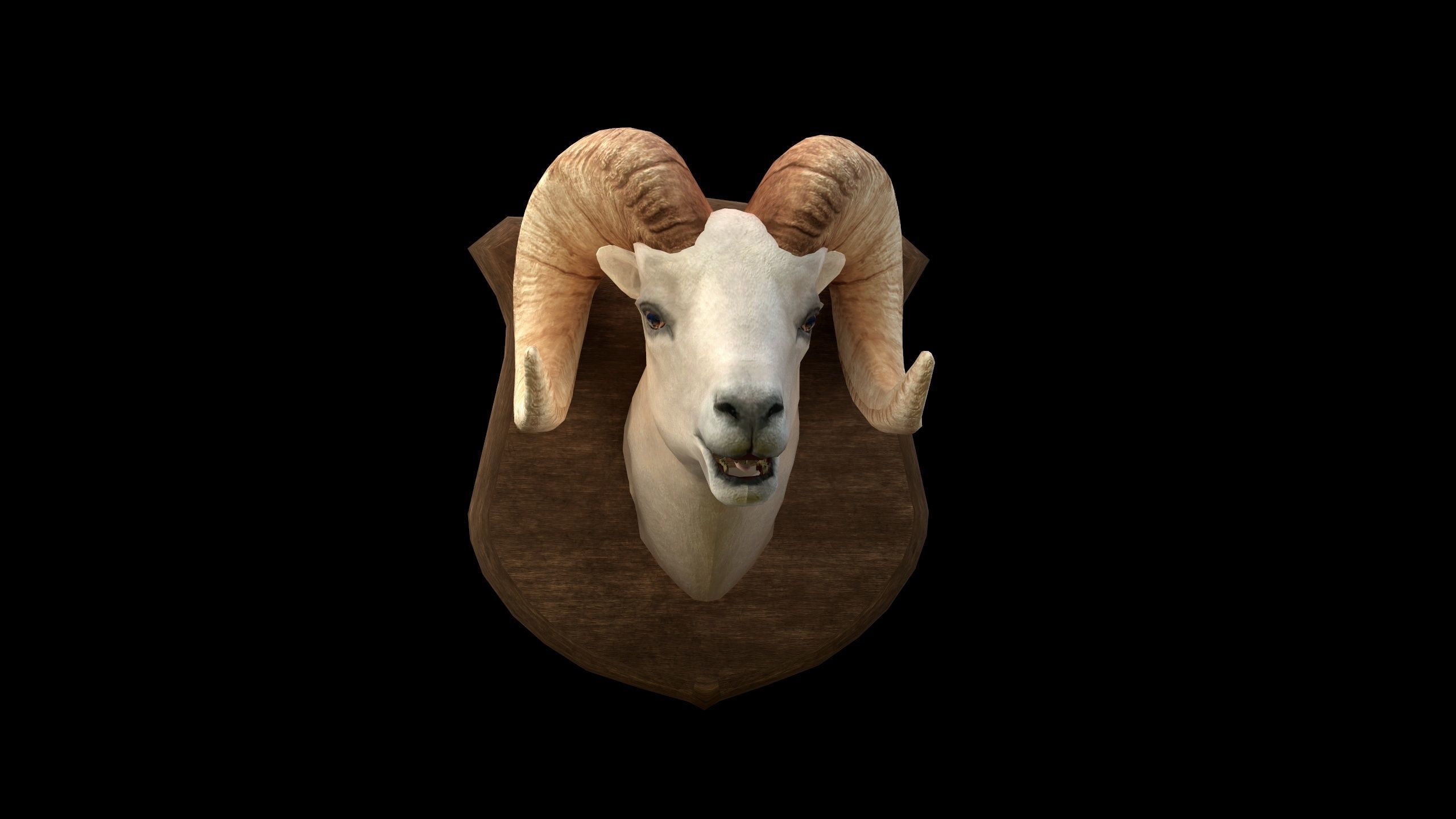 Ram Head - PBR - Textured Low-poly 3D model_9