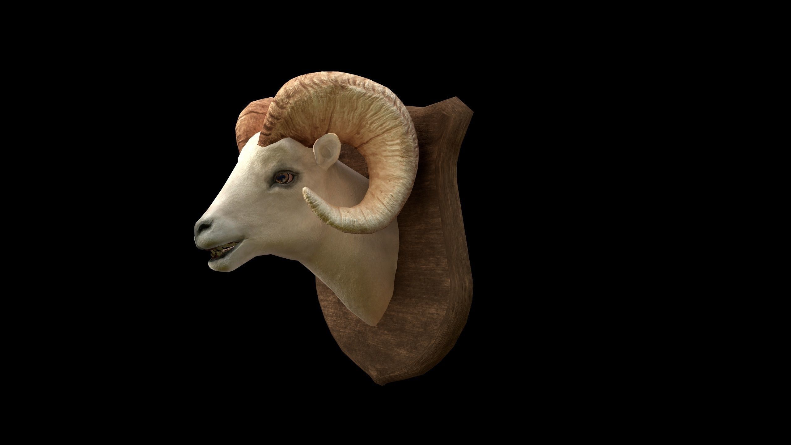 Ram Head - PBR - Textured Low-poly 3D model_7