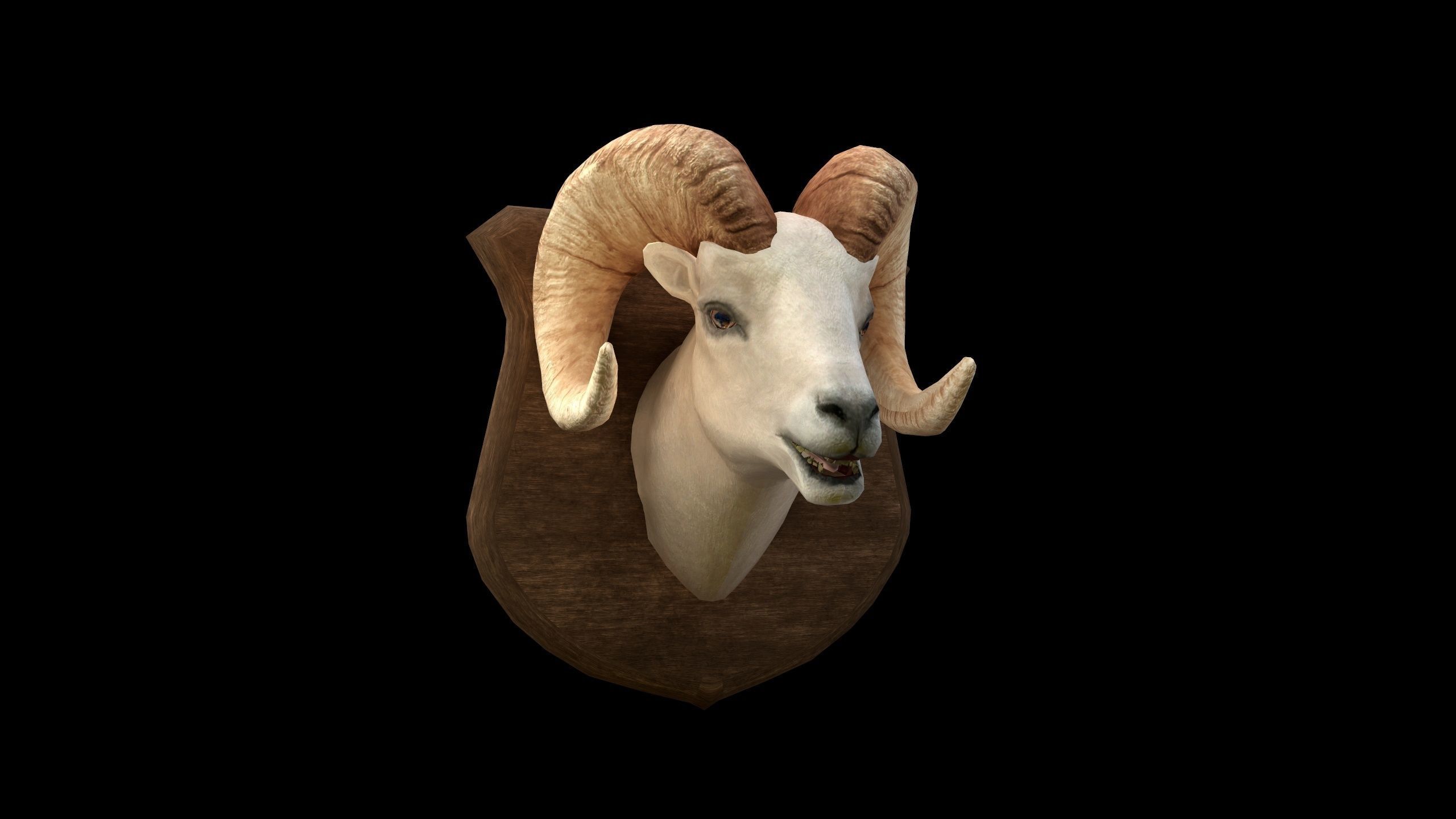 Ram Head - PBR - Textured Low-poly 3D model_1