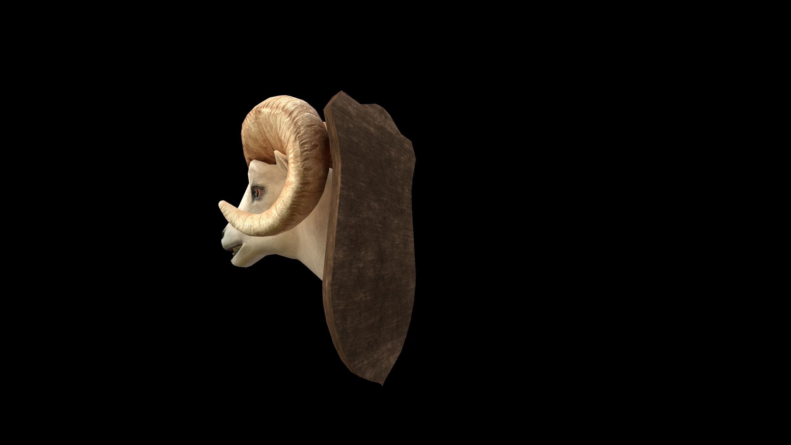 Ram Head - PBR - Textured Low-poly 3D model_5