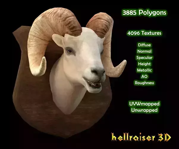 Ram Head - PBR - Textured Low-poly 3D model