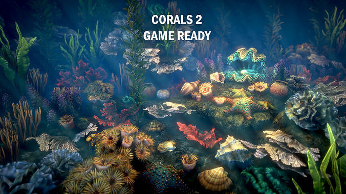 Corals 2 and plants Low-poly 3D model