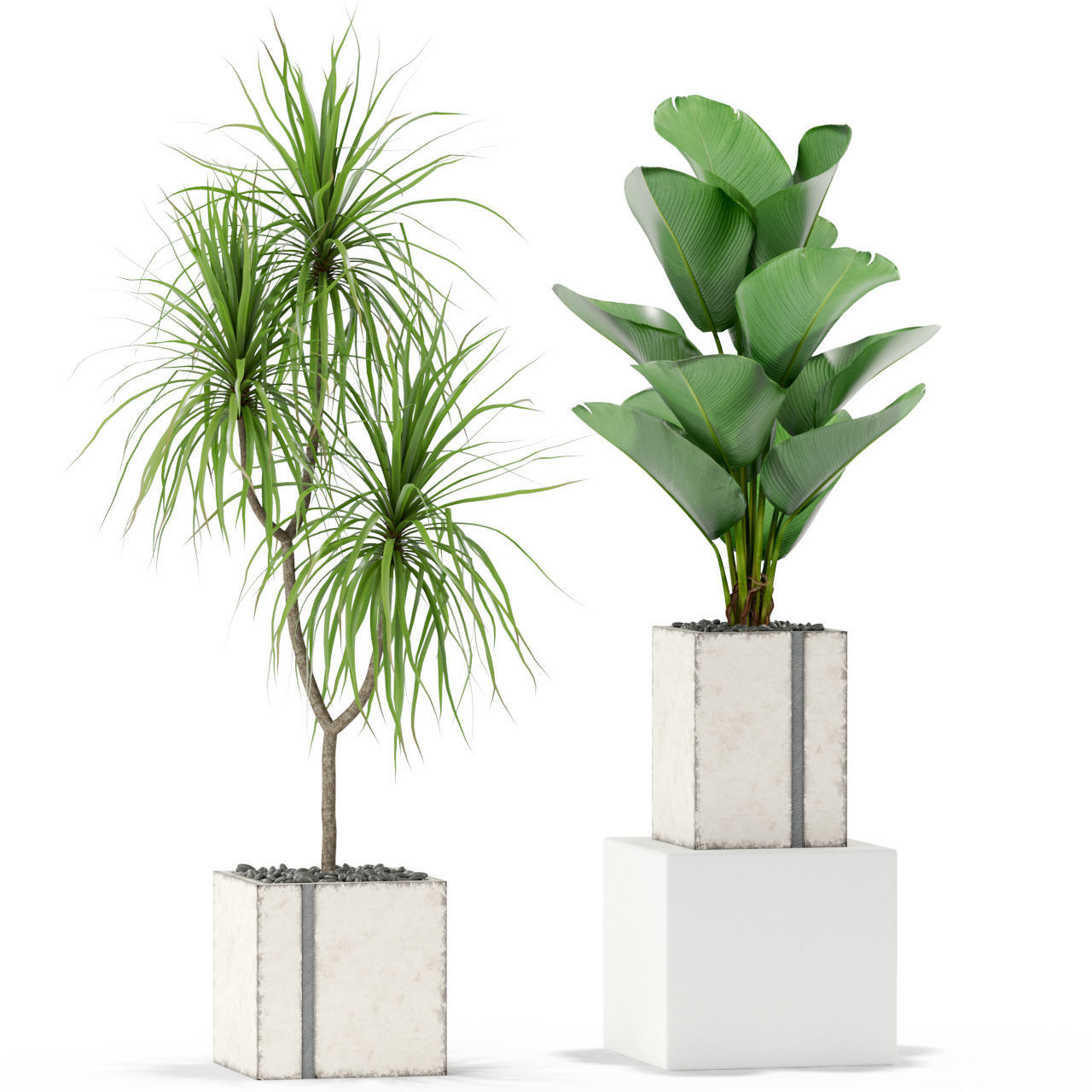 Plants collection 375 3D model_1
