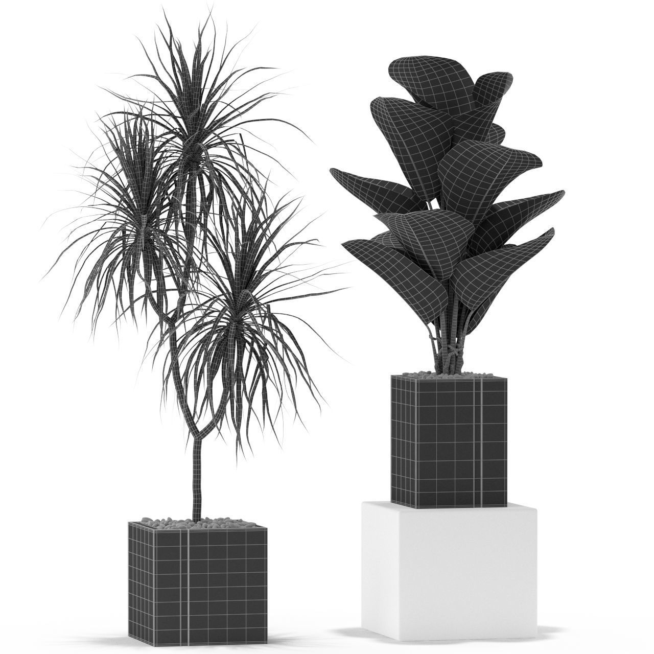 Plants collection 375 3D model_3