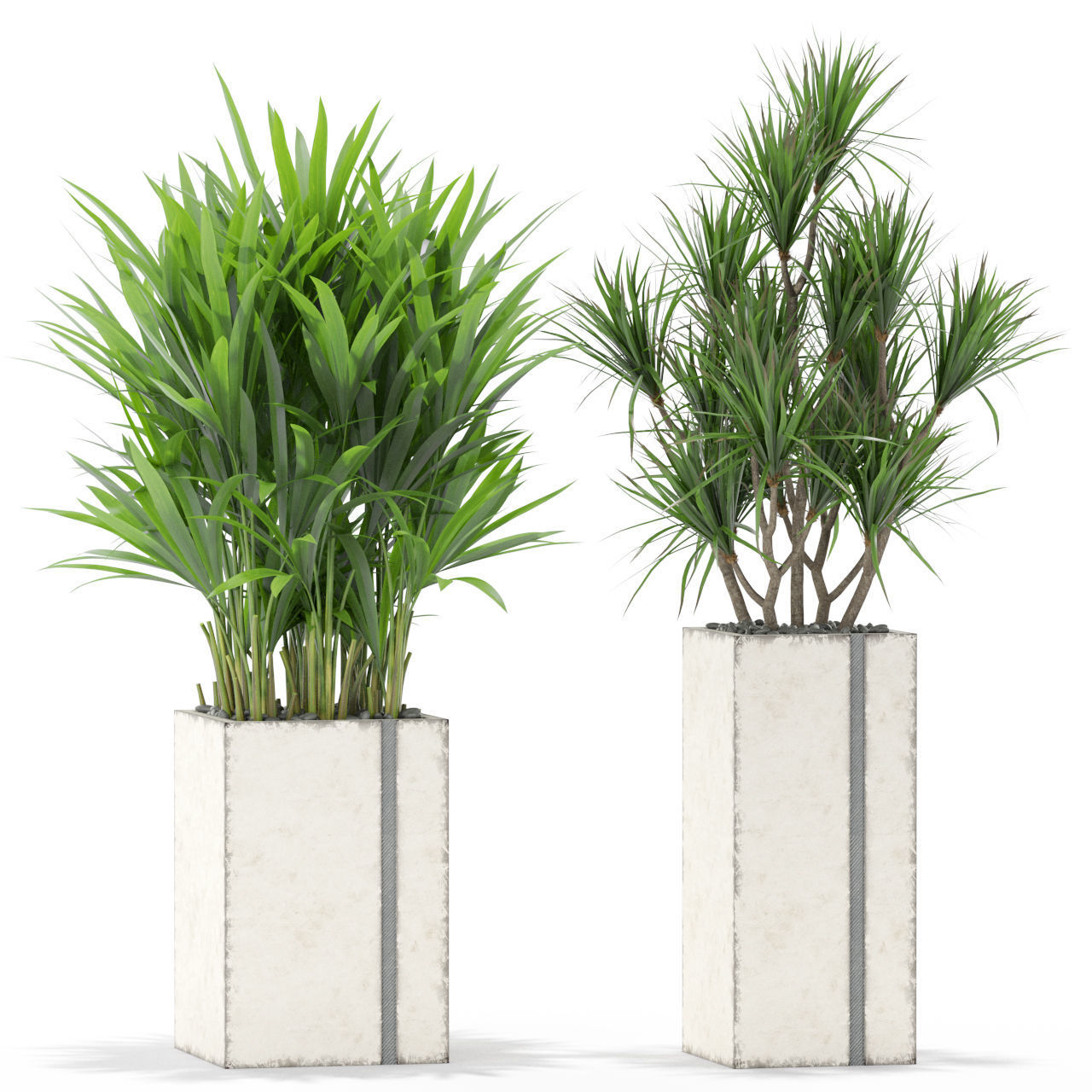 Plants collection 375 3D model_2