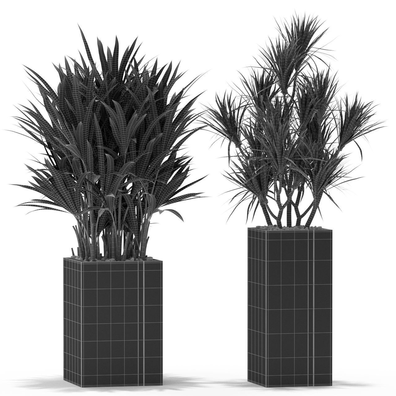 Plants collection 375 3D model_4