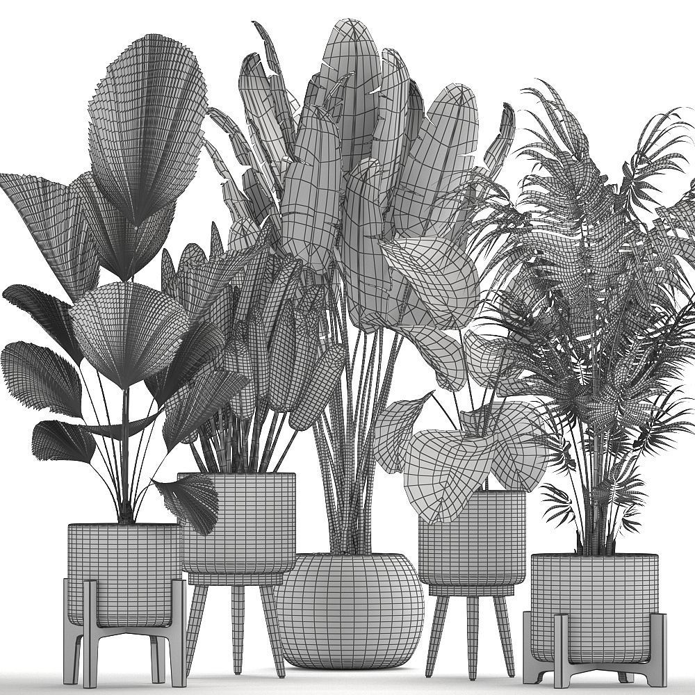 Houseplants in a white basket rattan for the interior 713 3D model_9