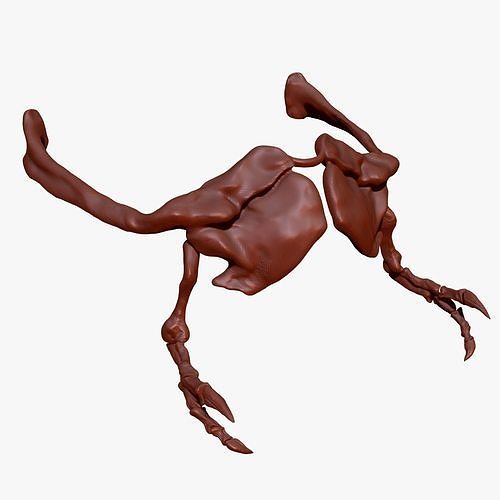 TRex Arm Set Skeletons 3D model